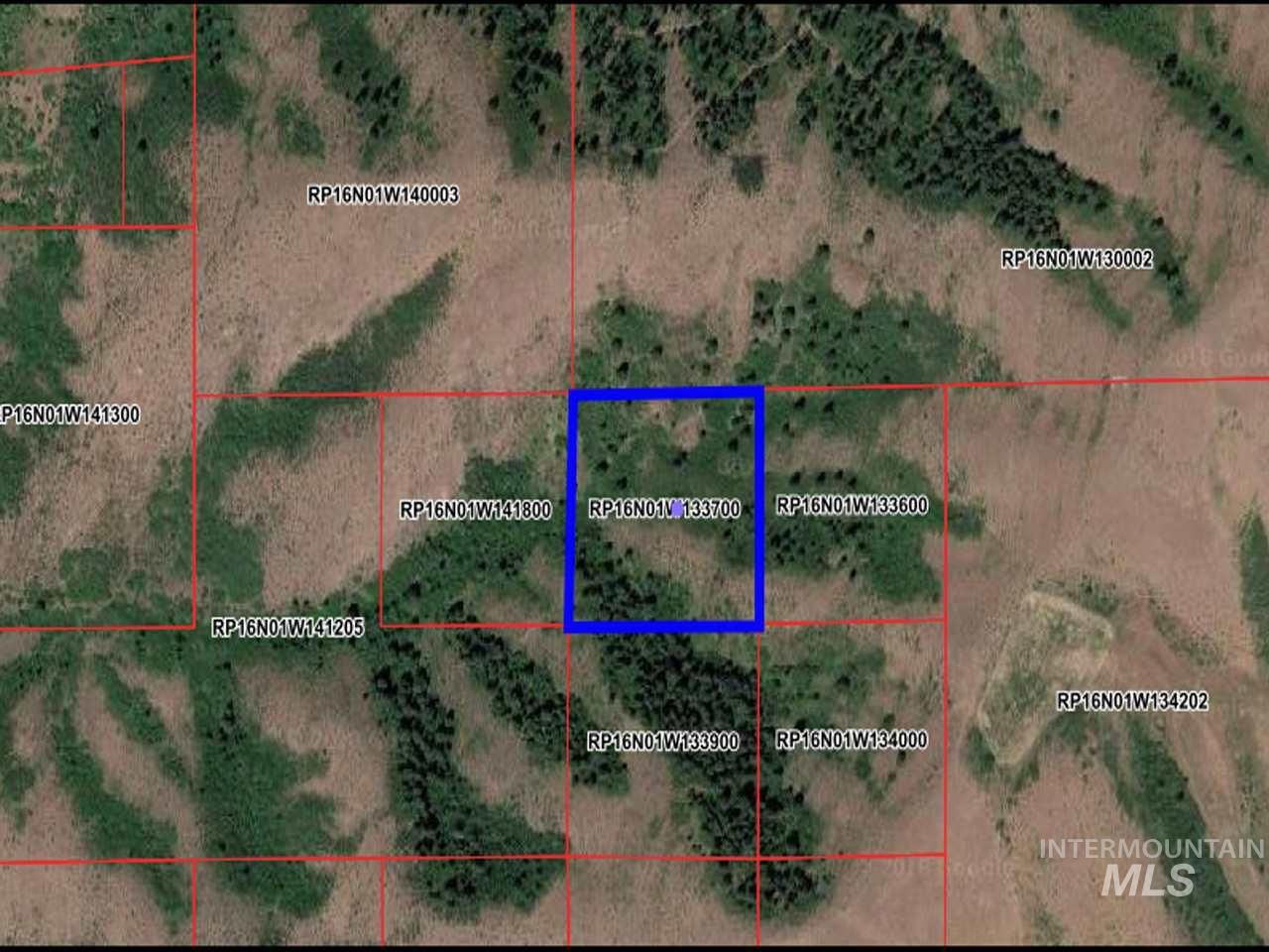 10 acres in Adams County, Idaho