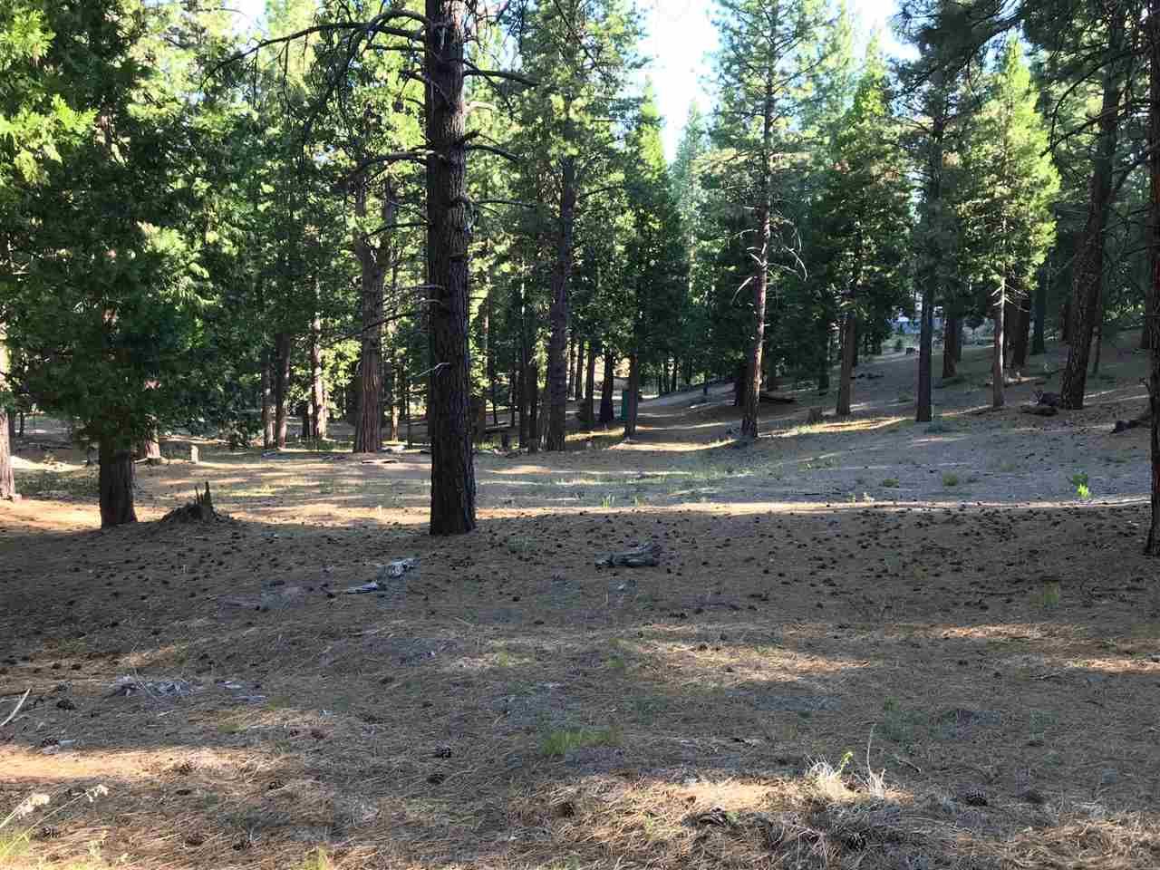 10 acres in Plumas County, California