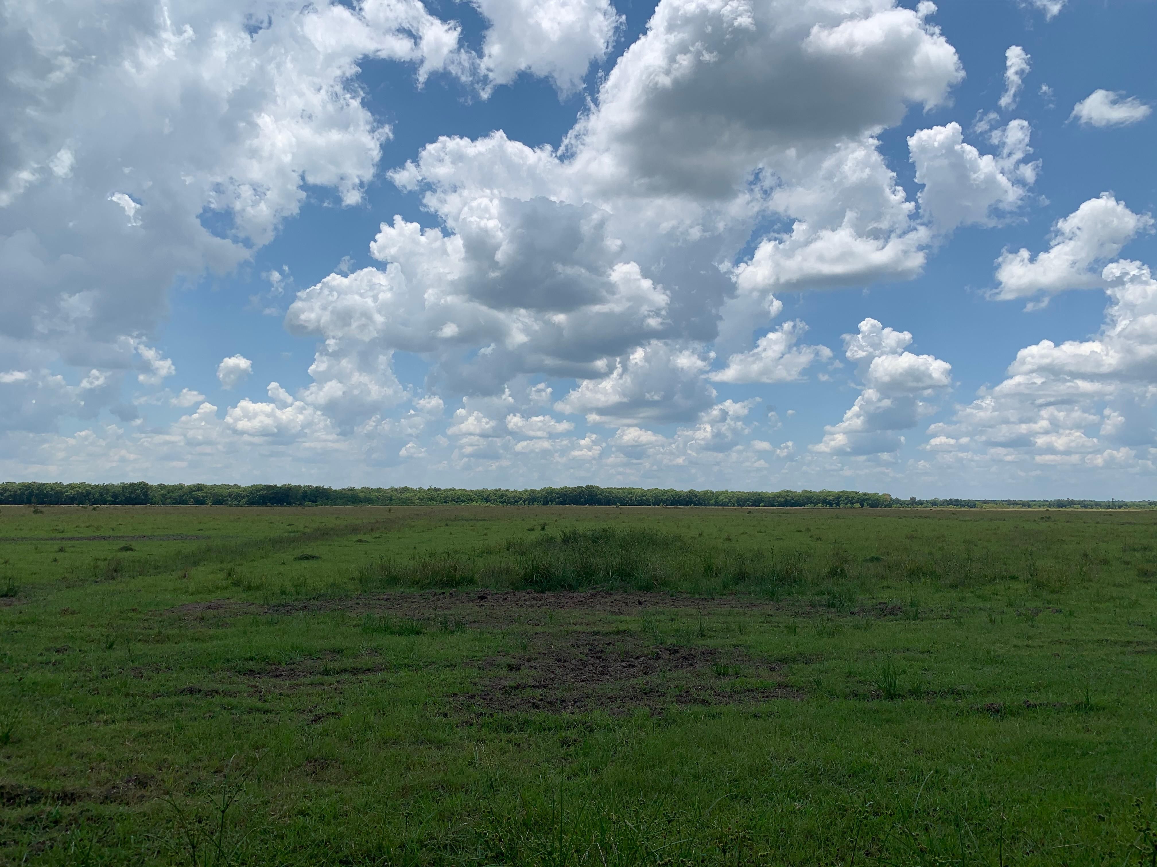 1,077 acres in Hardin County, Texas