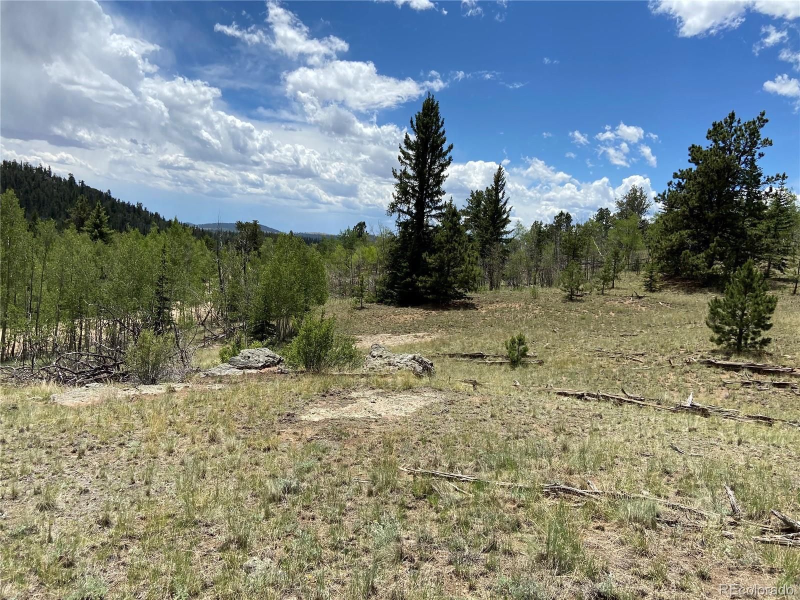2 acres in Park County, Colorado