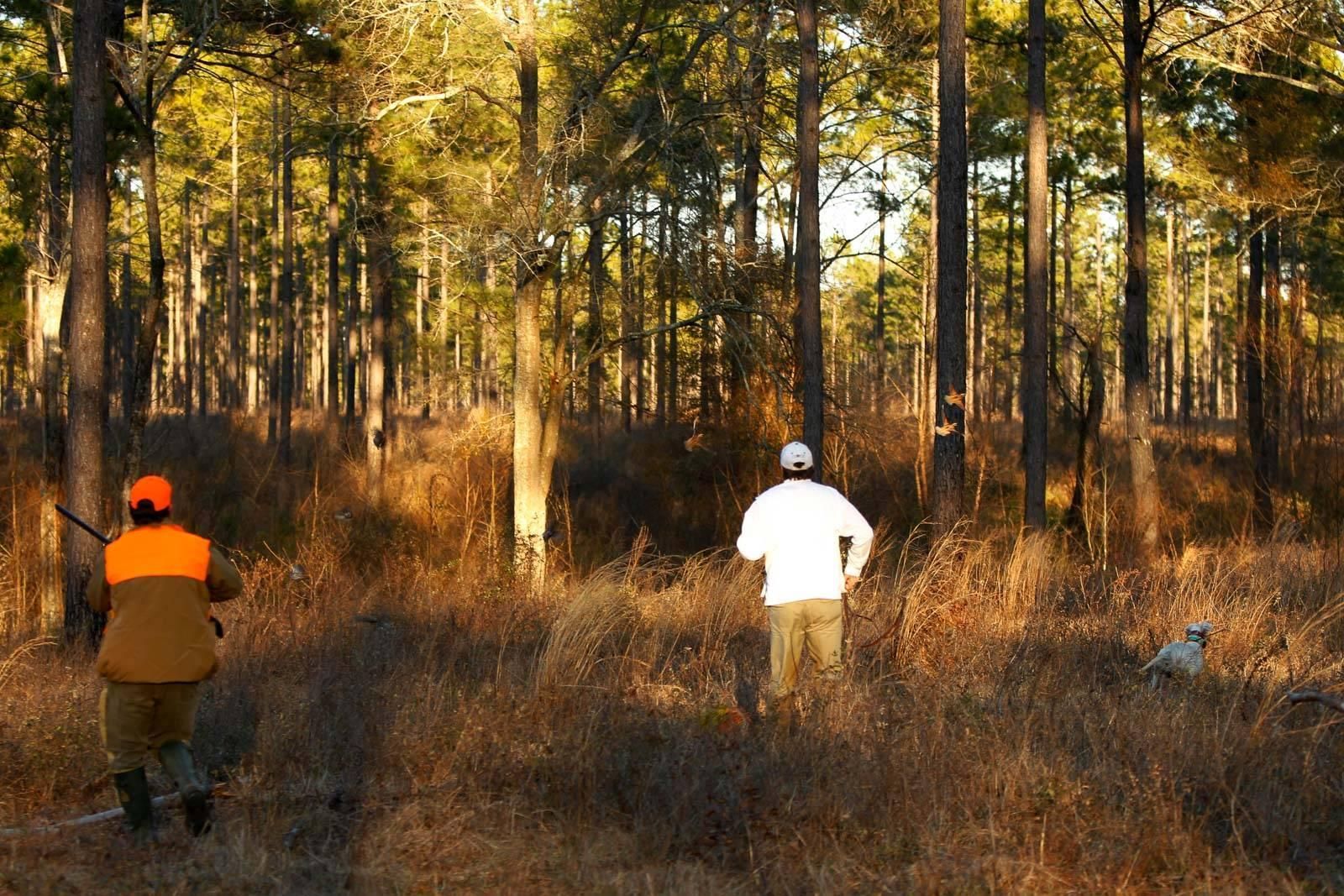 5,146 acres in Lee County,