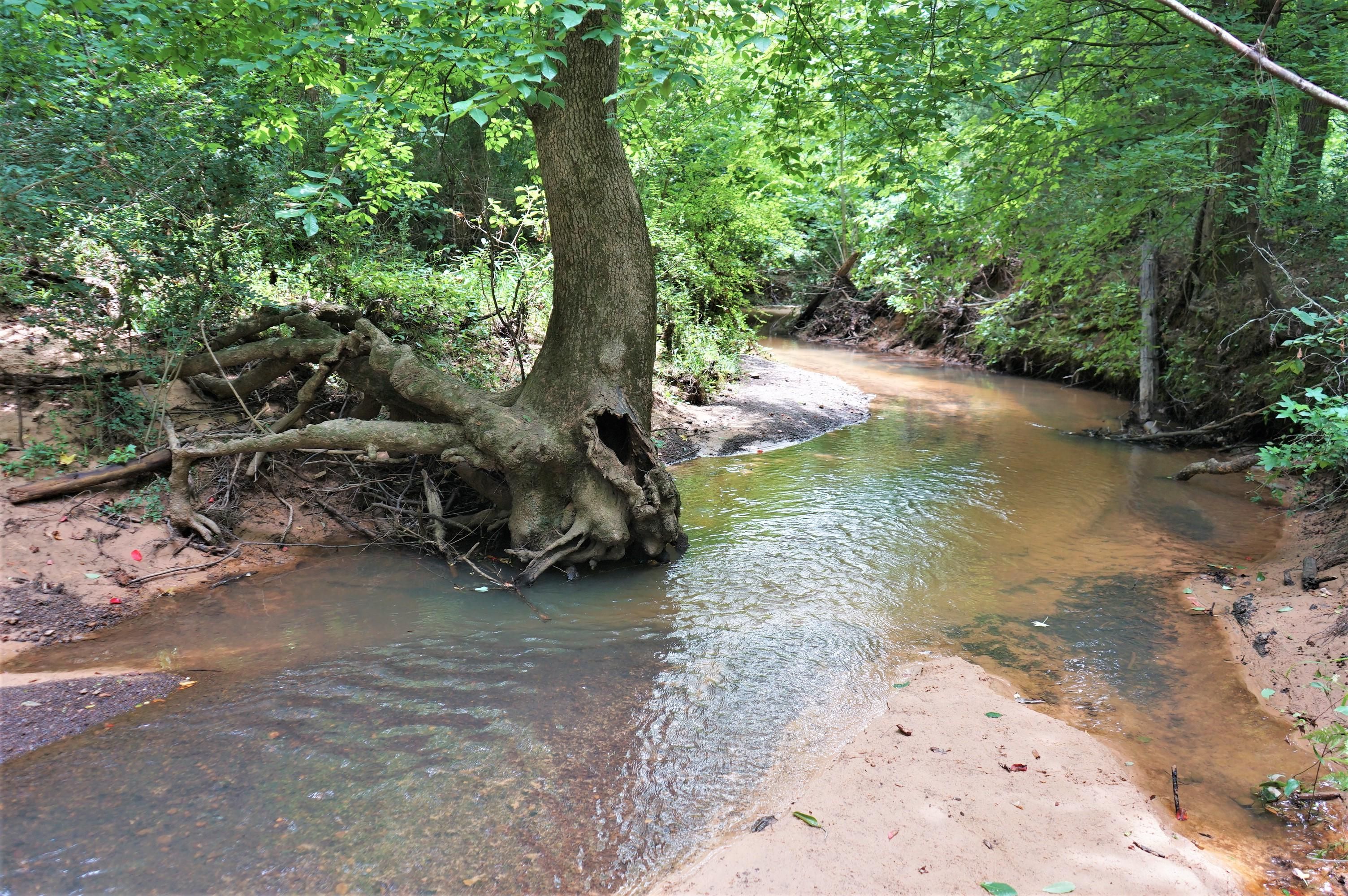 110 acres in Cherokee County, Texas