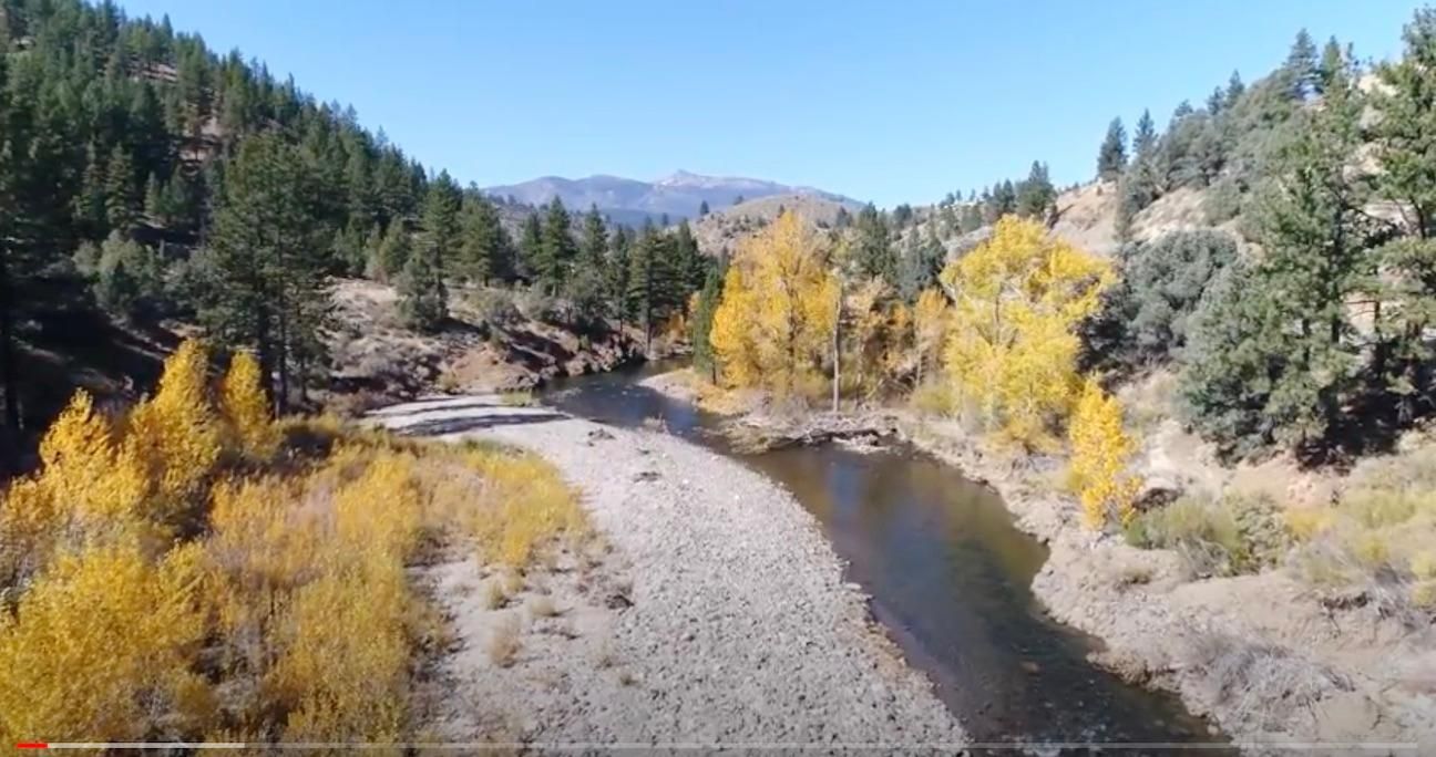 40 acres in Alpine County, California