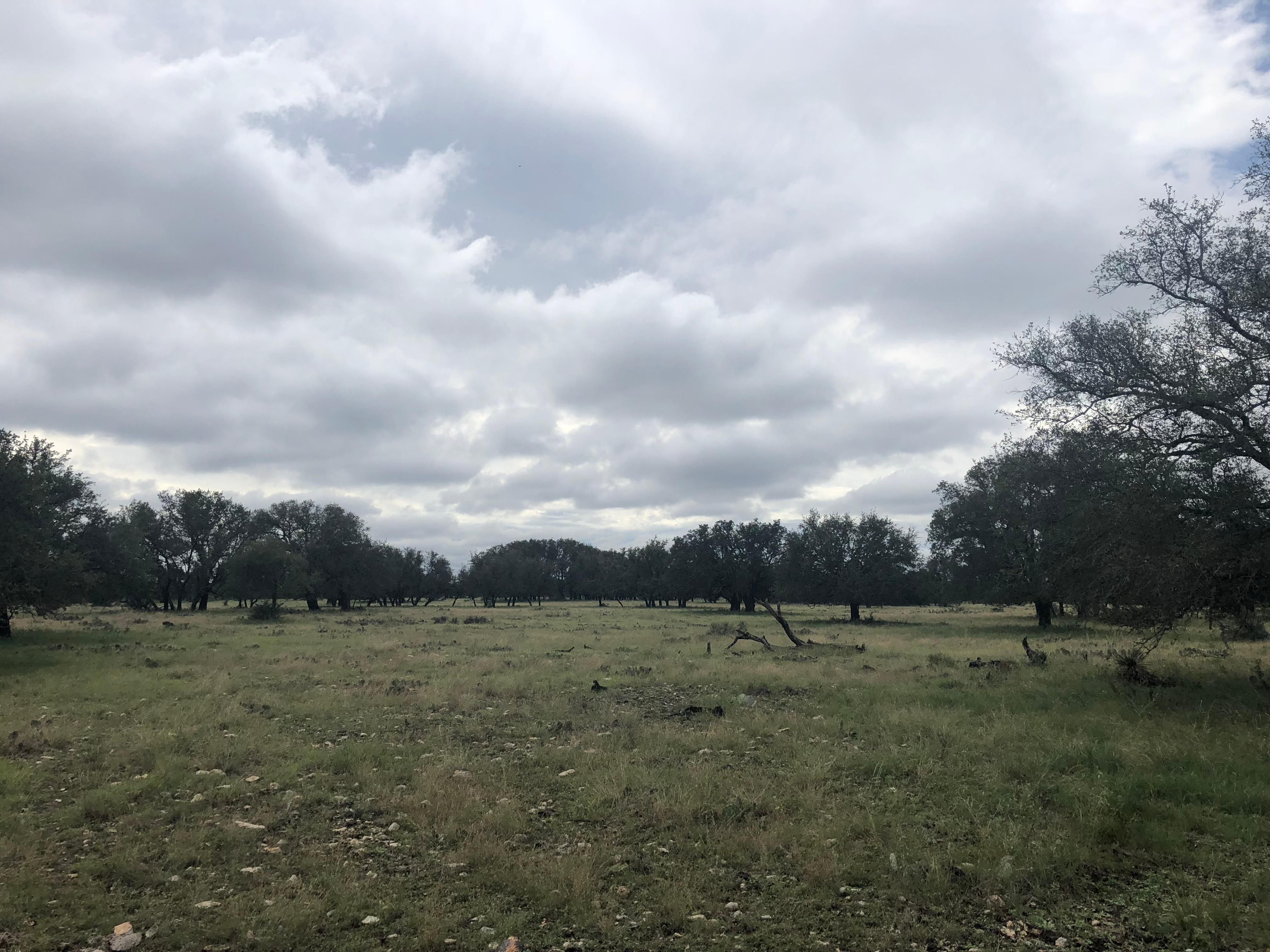 40 Acres For Sale In Texas - wknp5bu