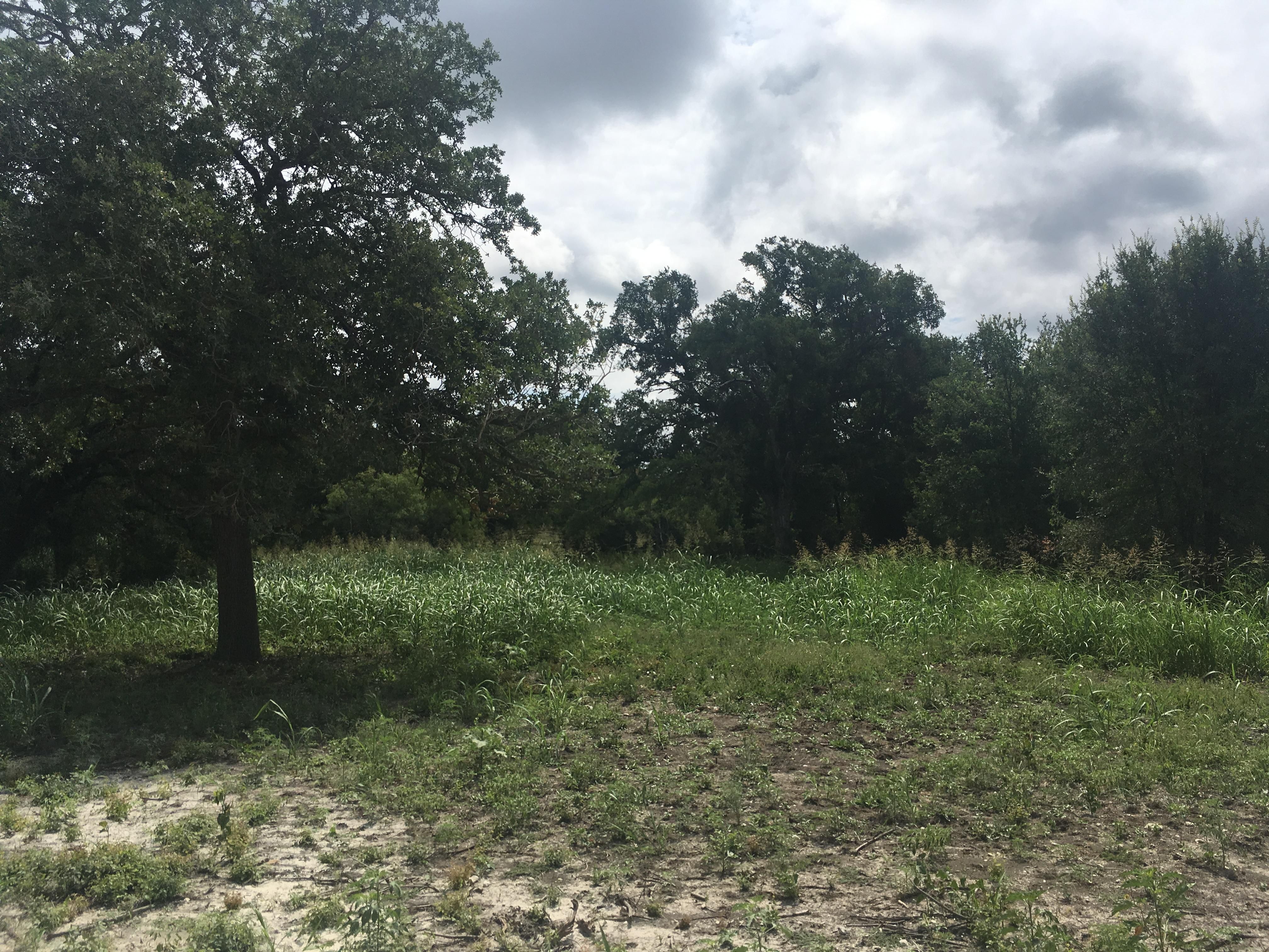 100 acres in Hamilton County, Texas