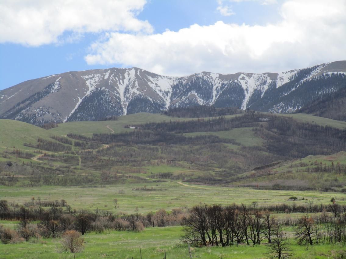 80 acres in Huerfano County, Colorado