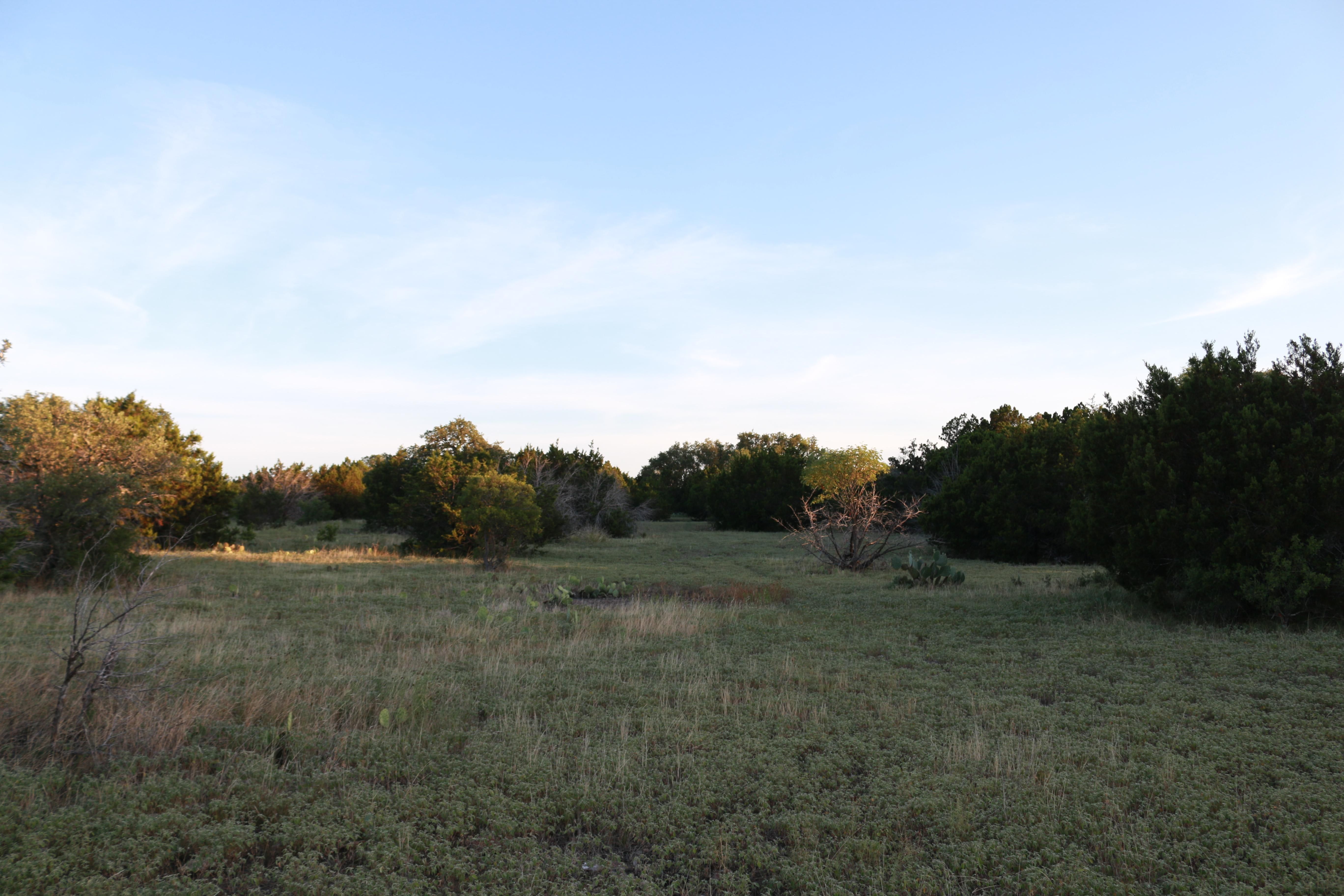 595 acres in Kimble County, Texas