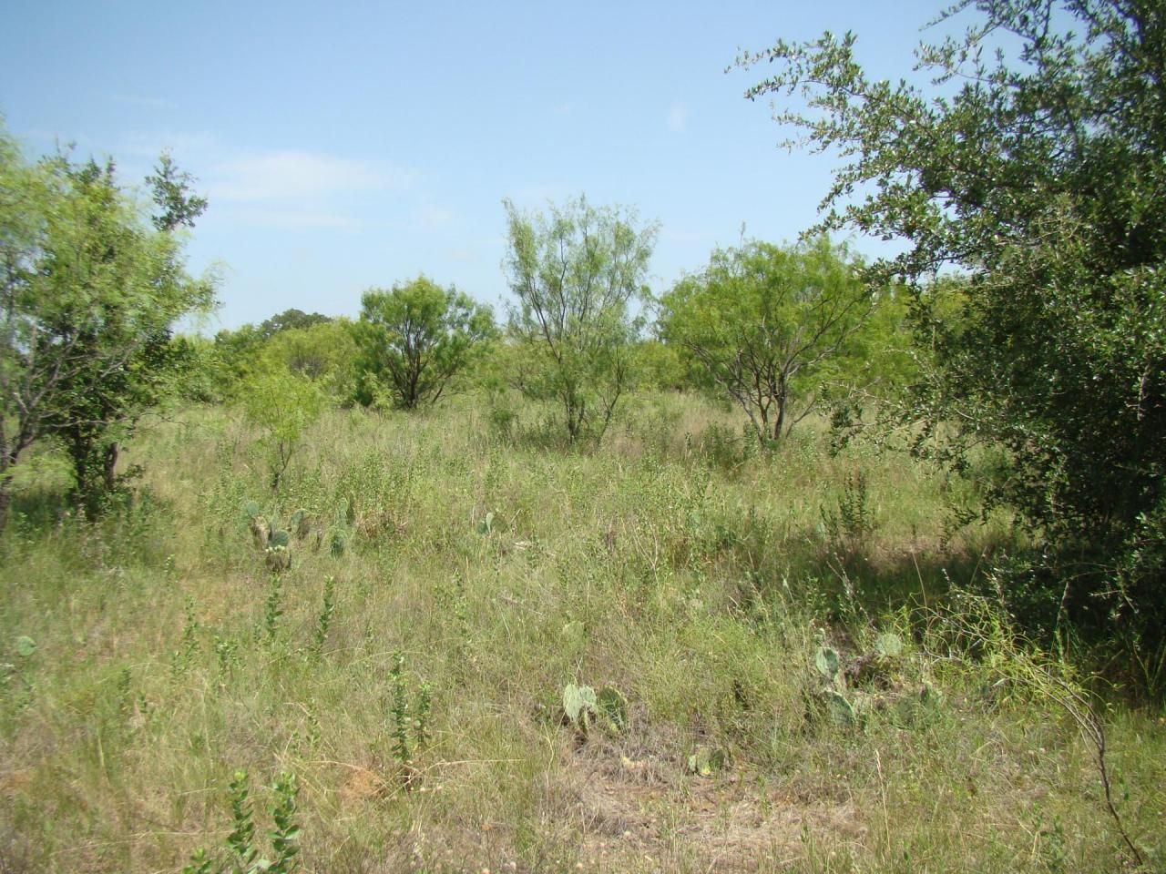 25 acres in Eastland County, Texas