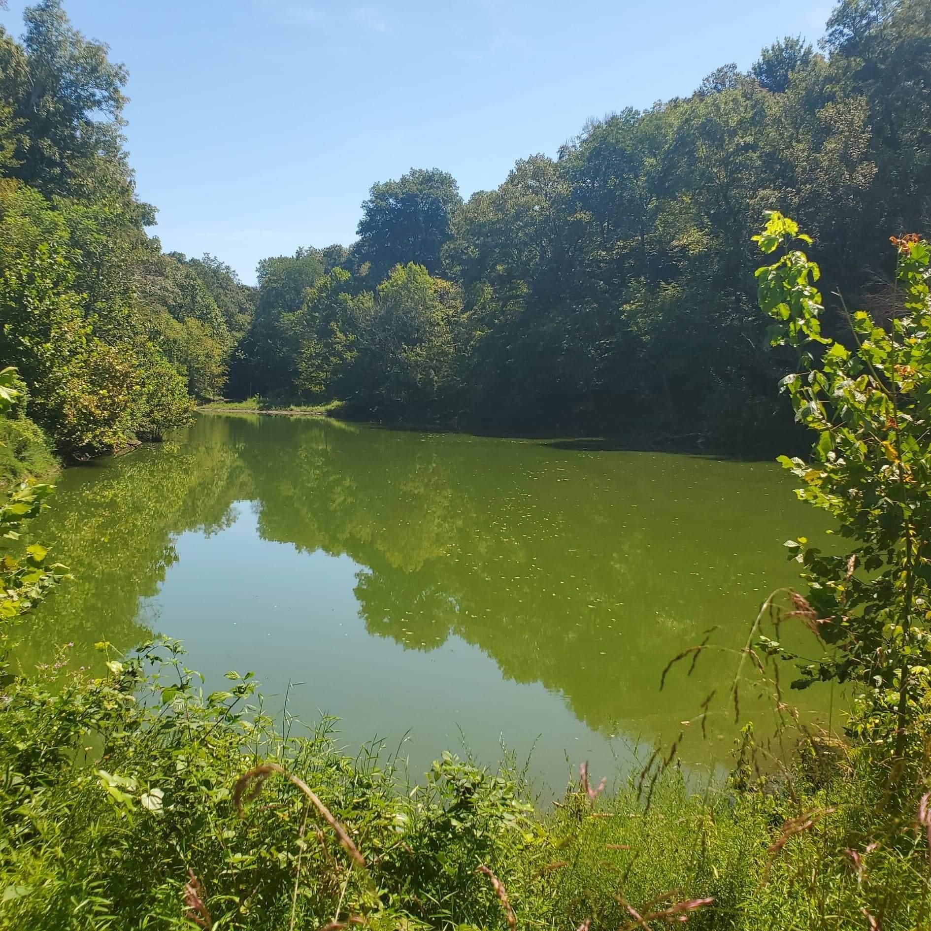 172.53 acres in Lawrence County, Tennessee