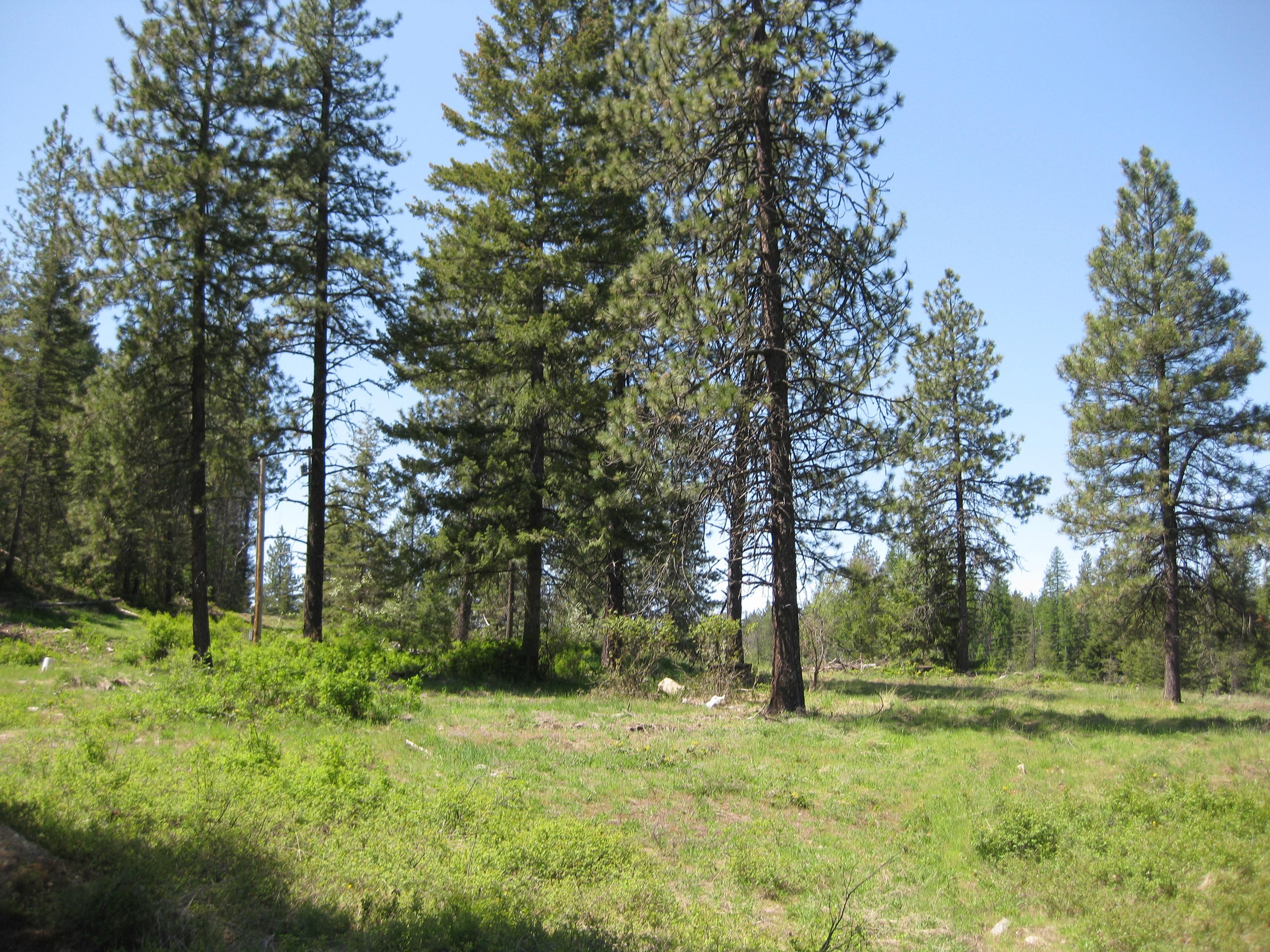 5 acres in Pend Oreille County, Washington