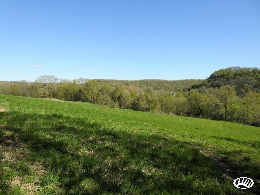 81 acres in Clayton County, Iowa