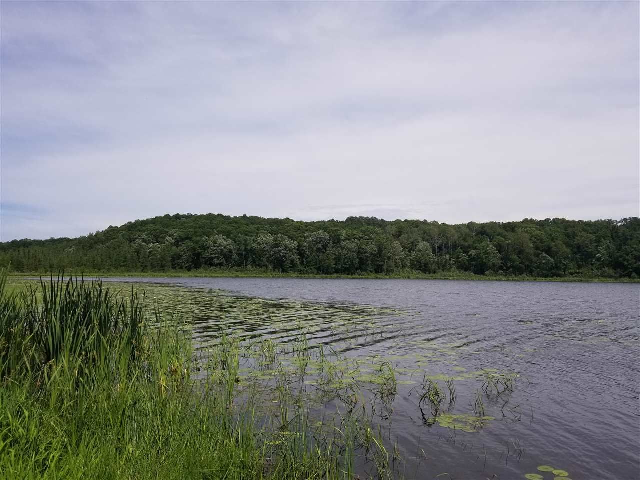 44 acres in Washburn County, Wisconsin