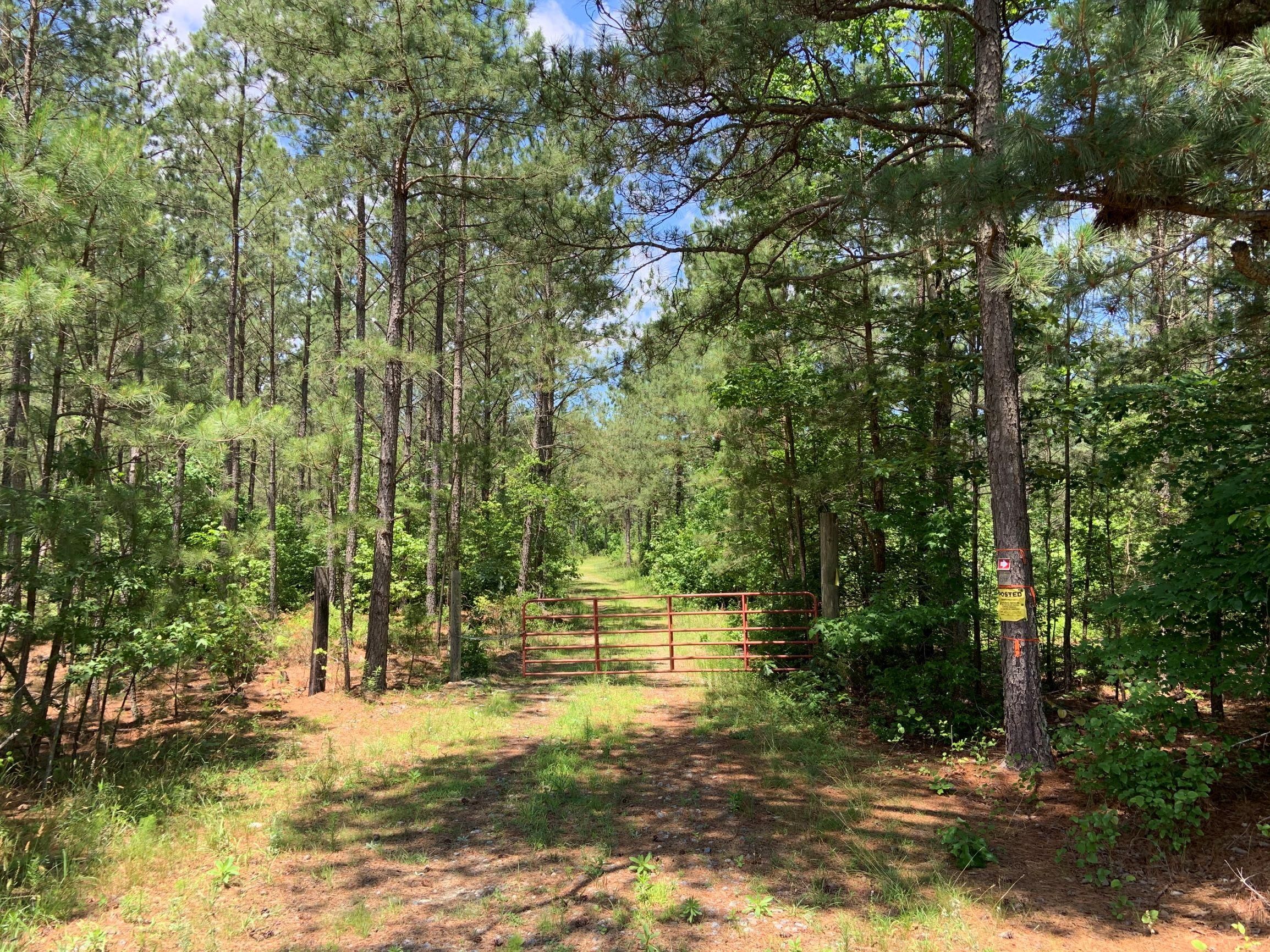 347.74 acres in King William County, Virginia