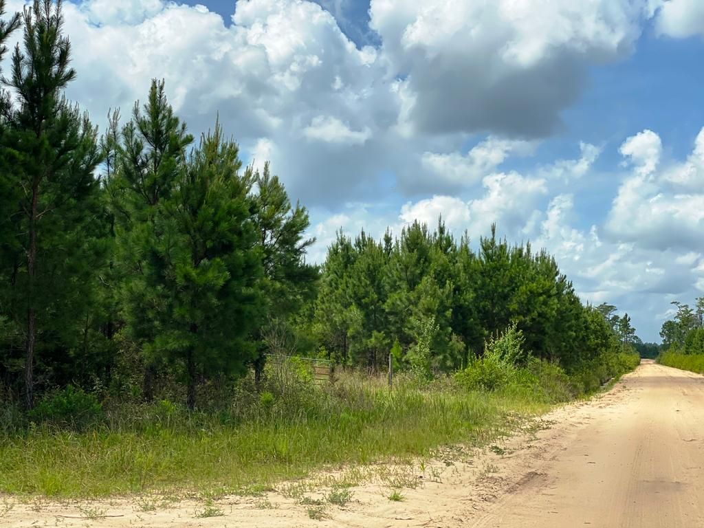 242 acres in Ware County,