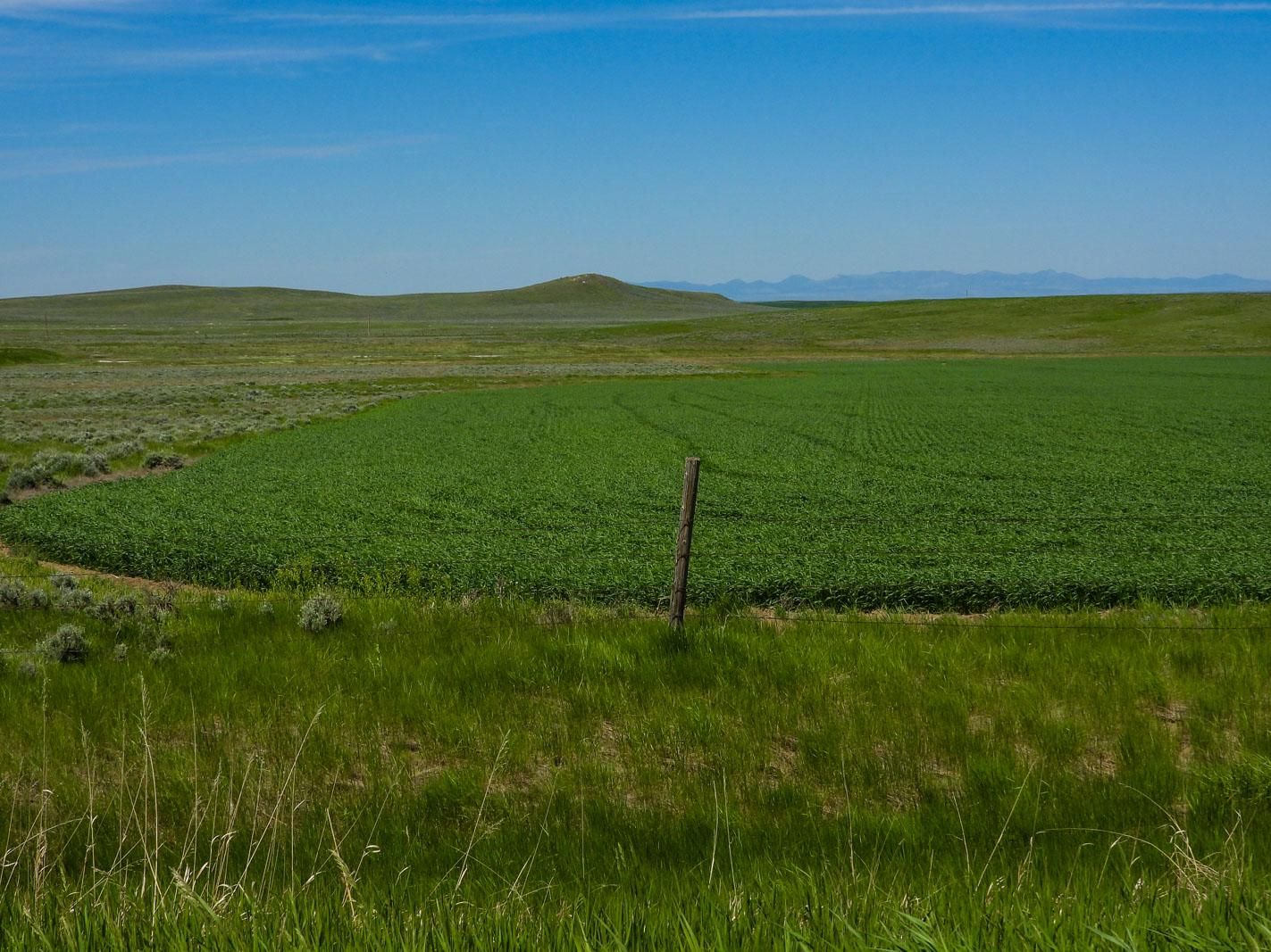 1,278 acres in Fergus County, Montana