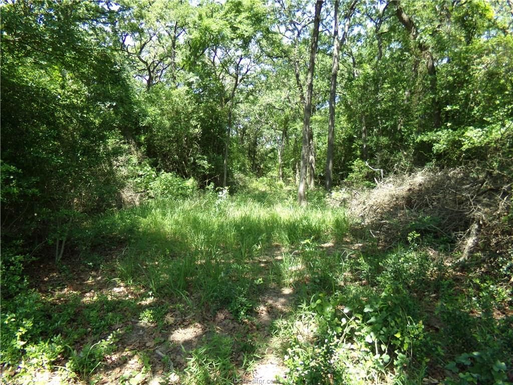 69.09 acres in Robertson County, Texas