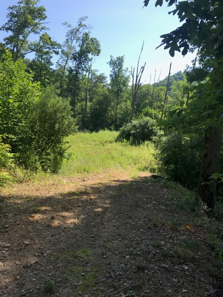 120 acres in Knott County, Kentucky