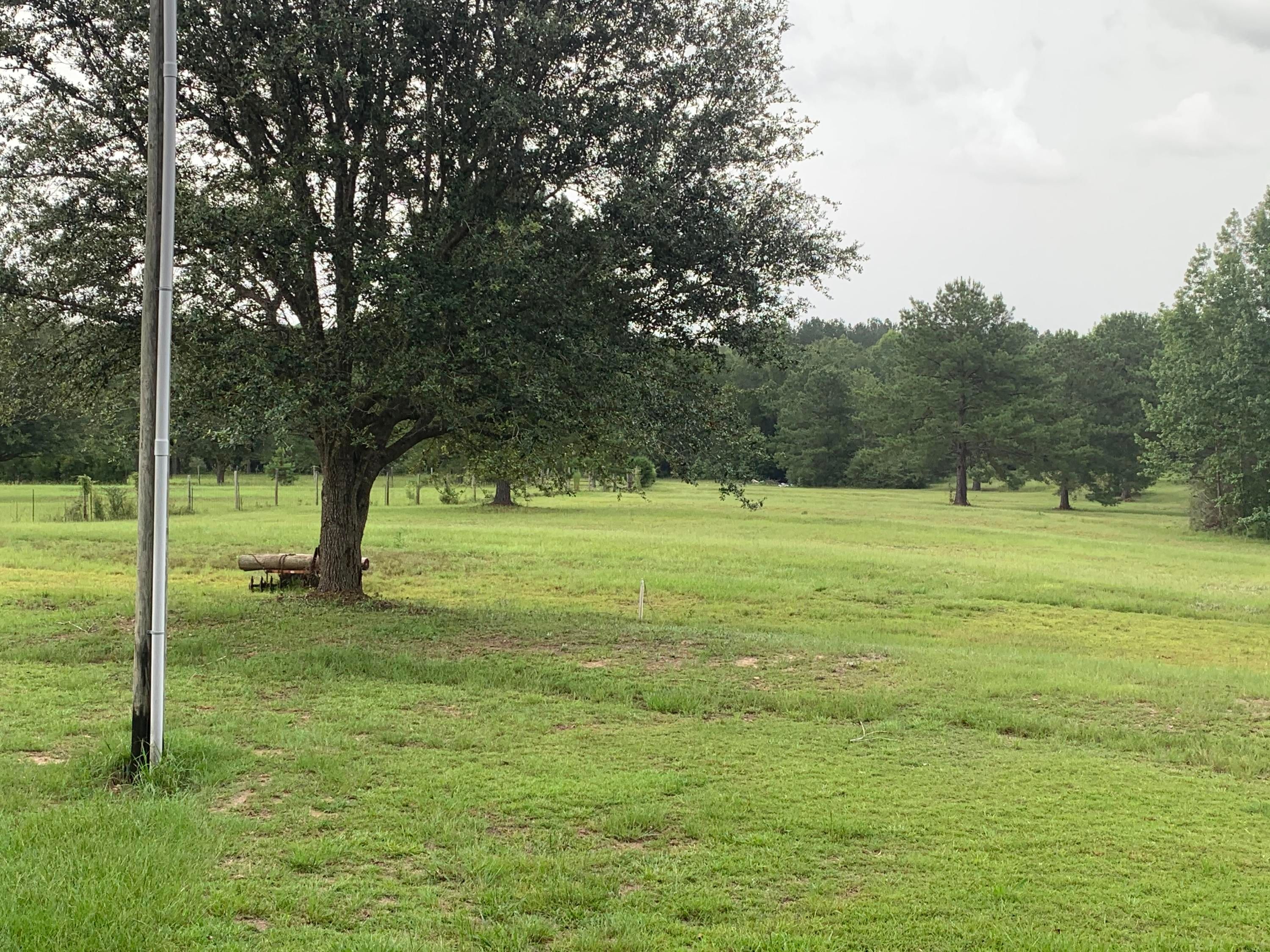 40 acres in Holmes County, Florida