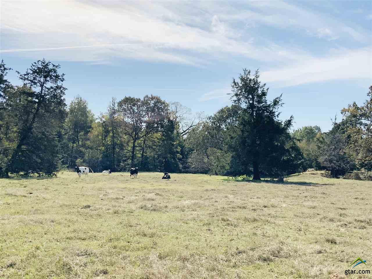 57 acres in Camp County, Texas