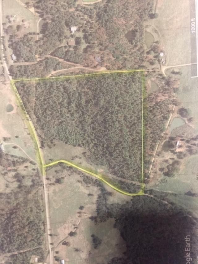 40 acres in Scott County, Arkansas