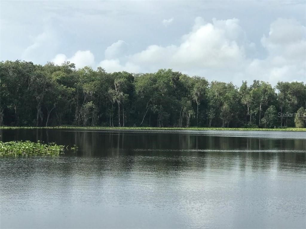 110 acres in Volusia County, Florida