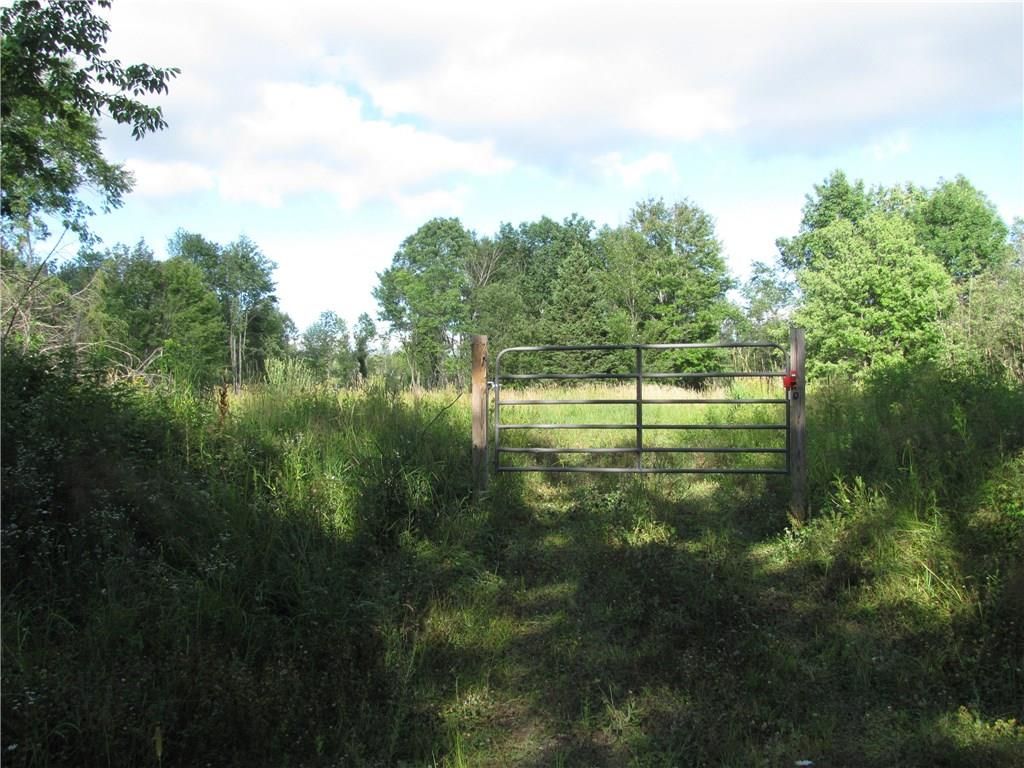 40 acres in Sawyer County, Wisconsin