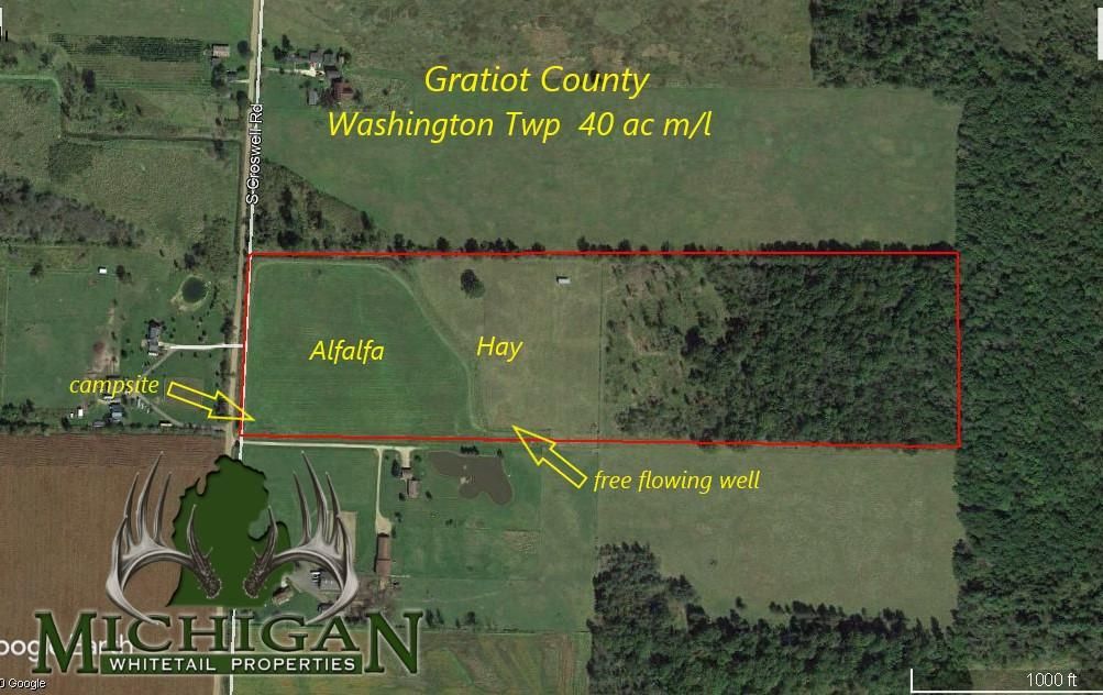 40 acres in Gratiot County, Michigan