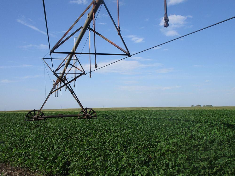 311.25 acres in Ransom County, North Dakota