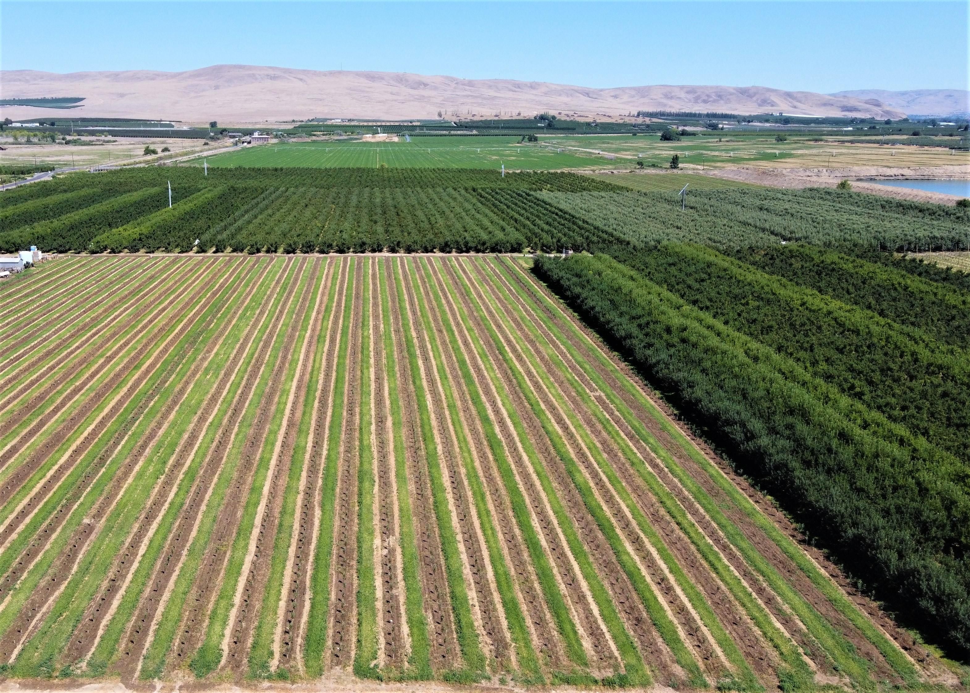 281 Lateral C Road, Wapato, WA 98951