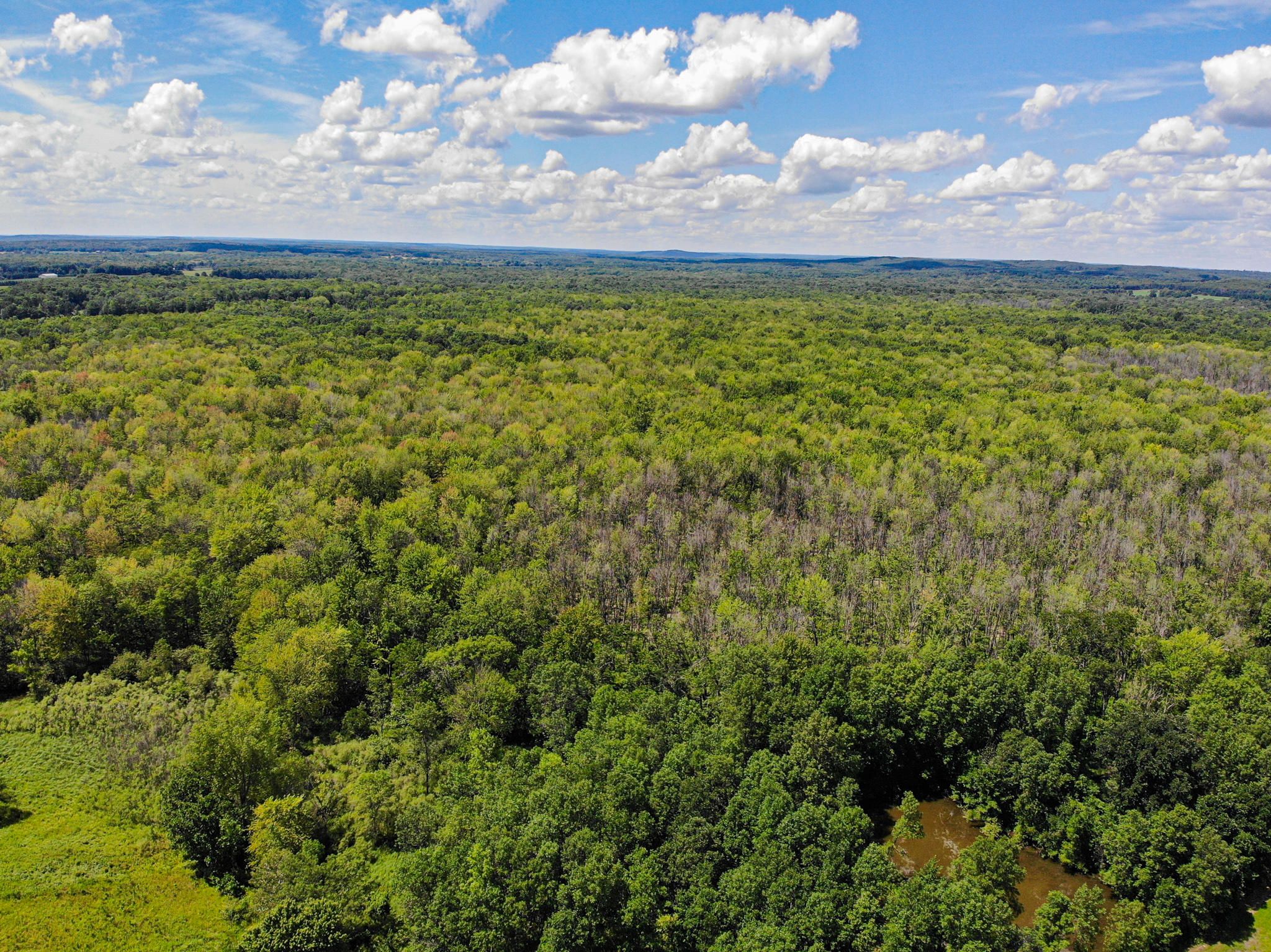 100.39 acres in Waushara County, Wisconsin