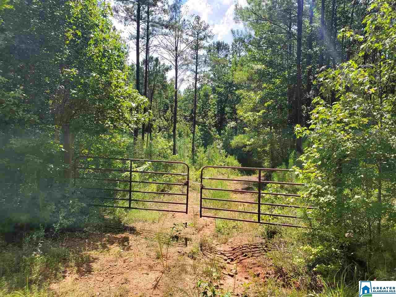 74 acres in Coosa County, Alabama