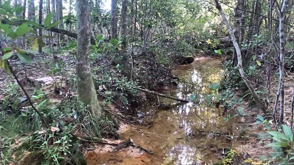 69 acres in Lawrence County, Mississippi