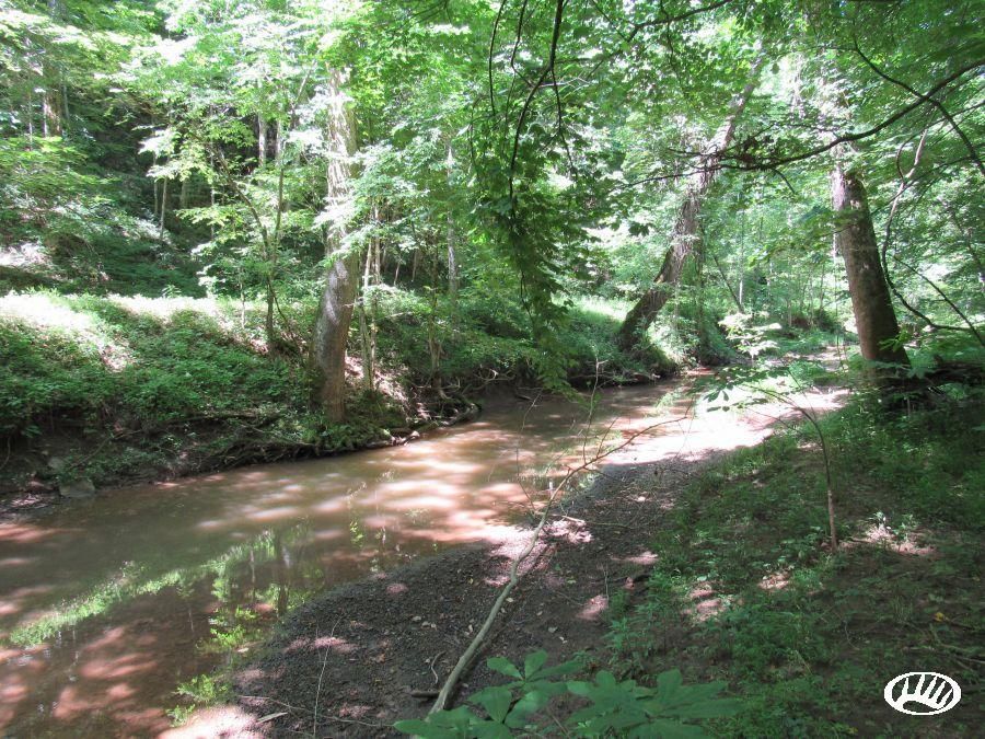 120 acres in Mason County, West Virginia