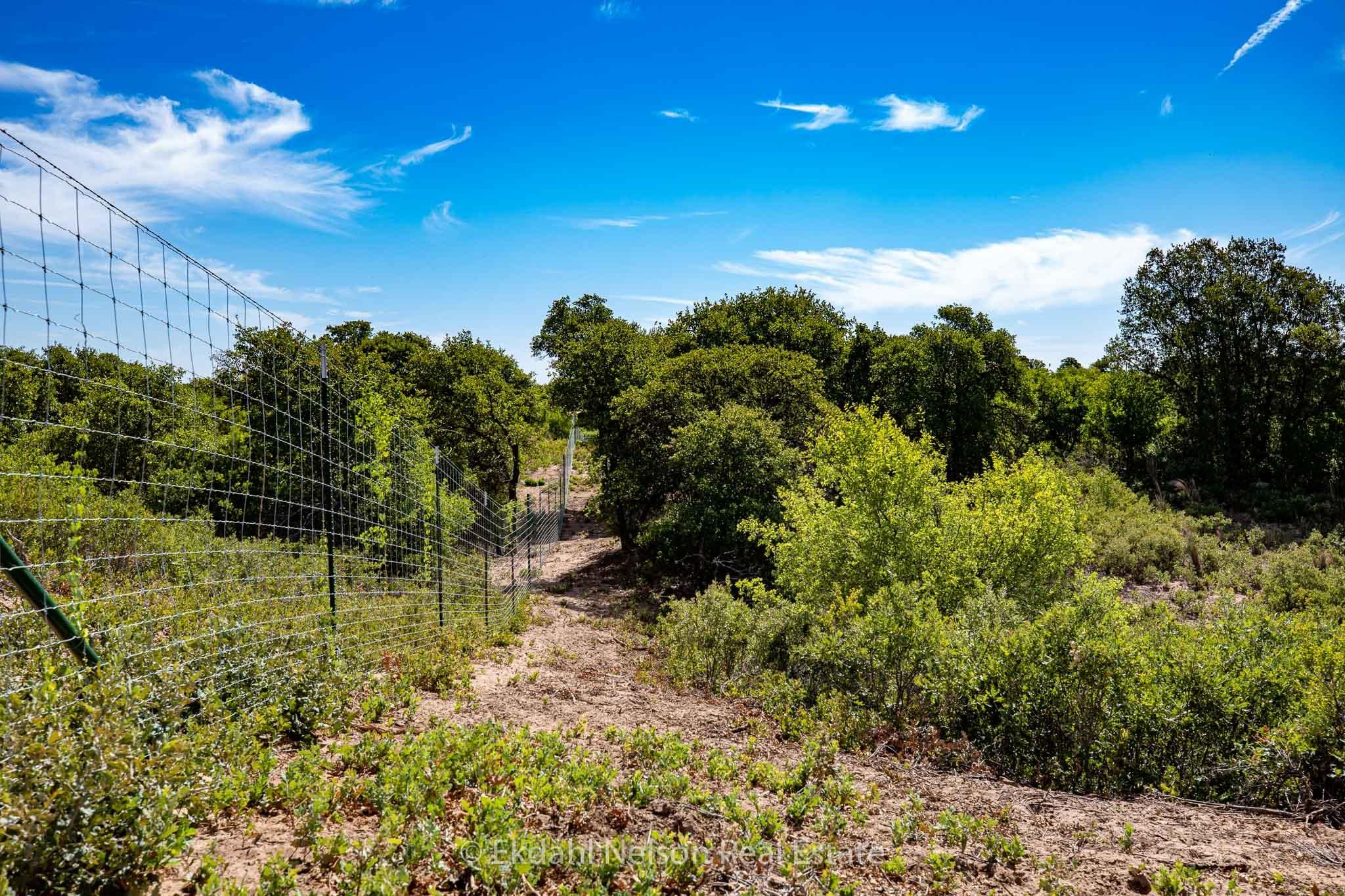 430 acres in Jones County, Texas