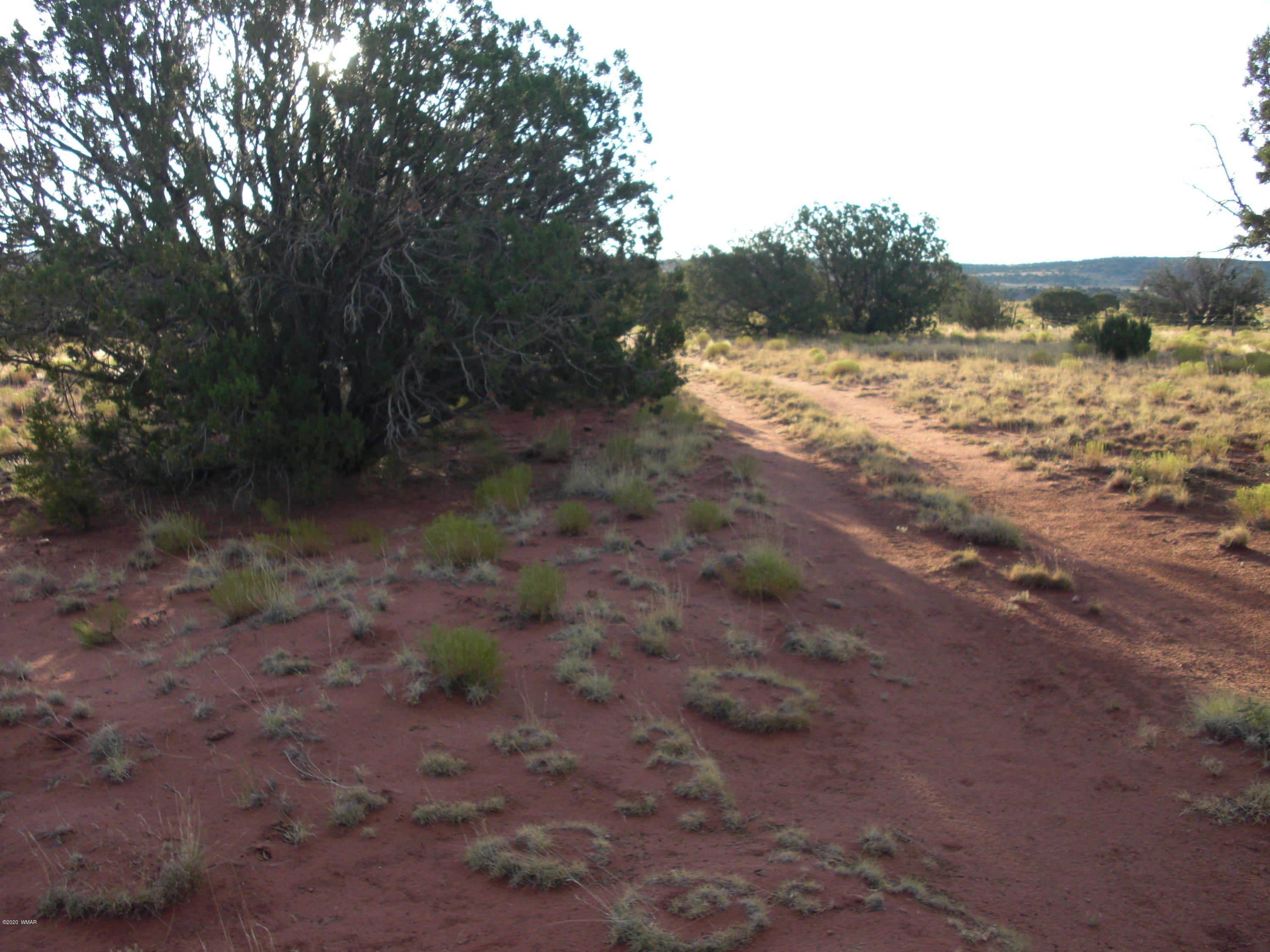 40 acres in Apache County, Arizona
