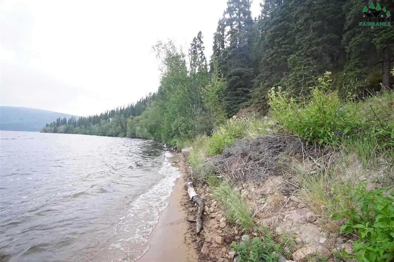9.41 acres in Southeast Fairbanks Borough, Alaska