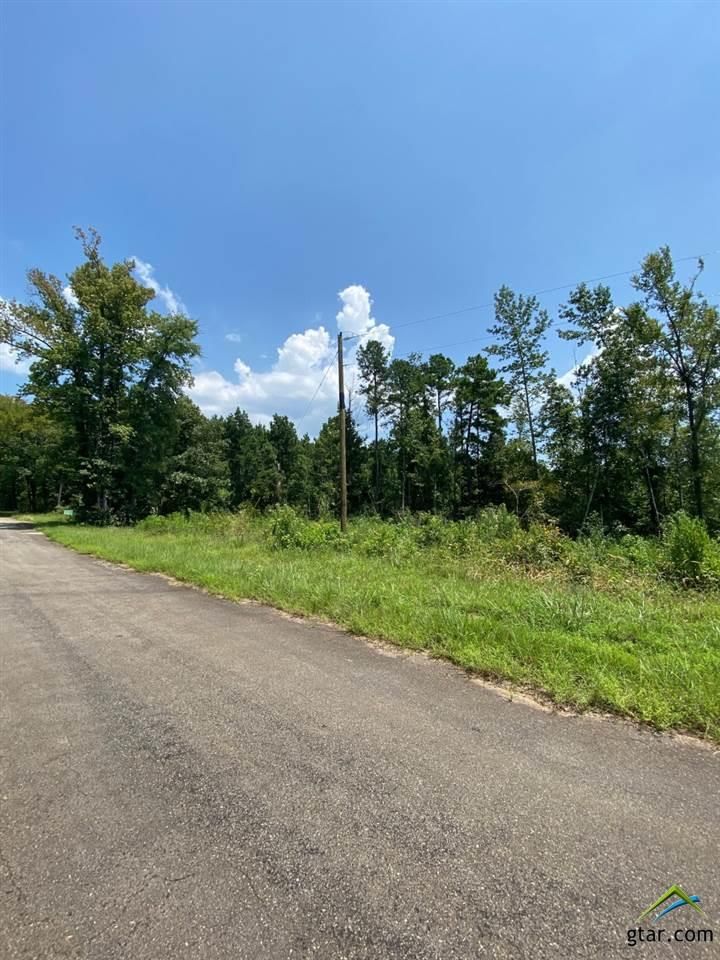 12 acres in Morris County, Texas