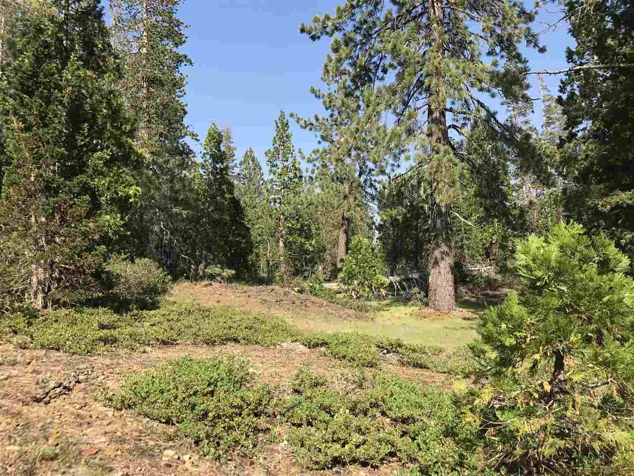 13.3 acres in Placer County, California