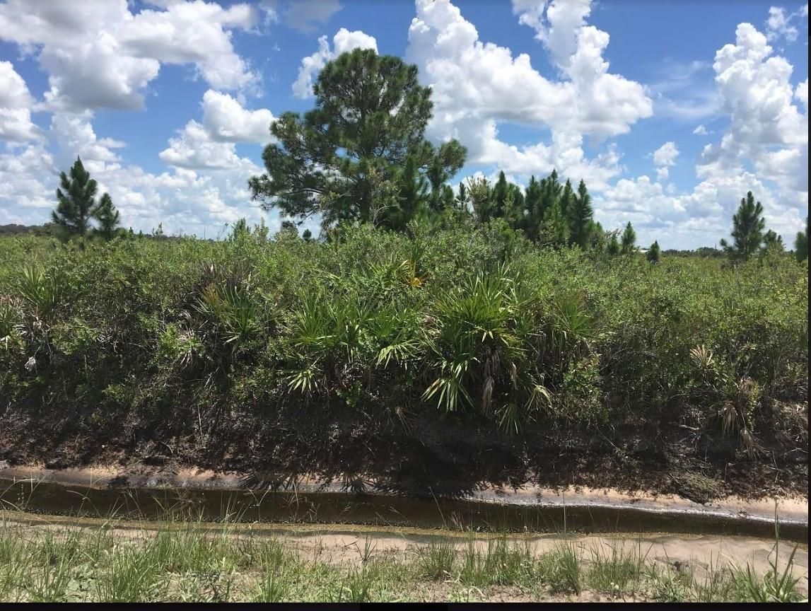 20470 NW 254th St, Okeechobee, FL 34972 MLS O5867357