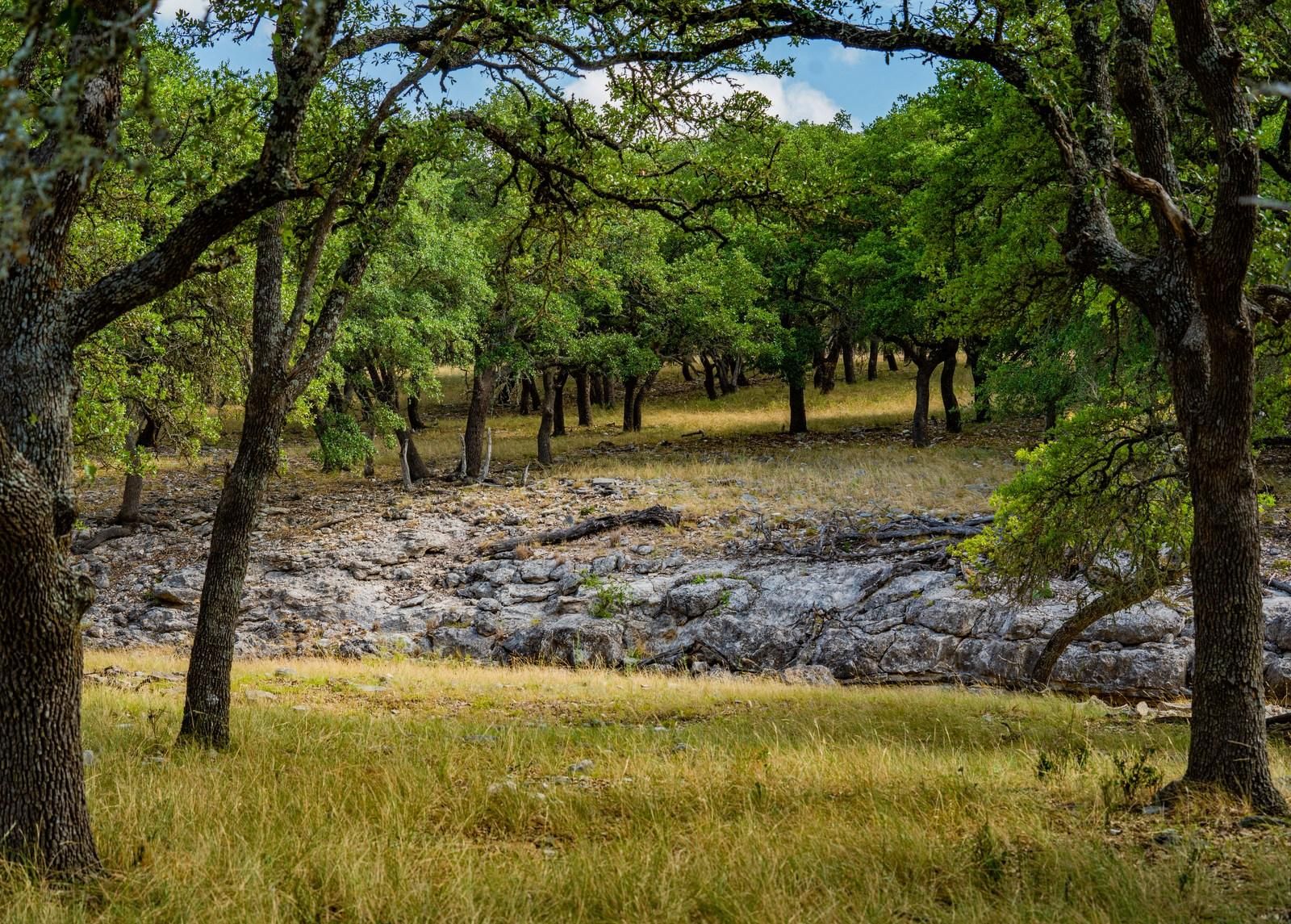 540 acres in Kerr County, Texas