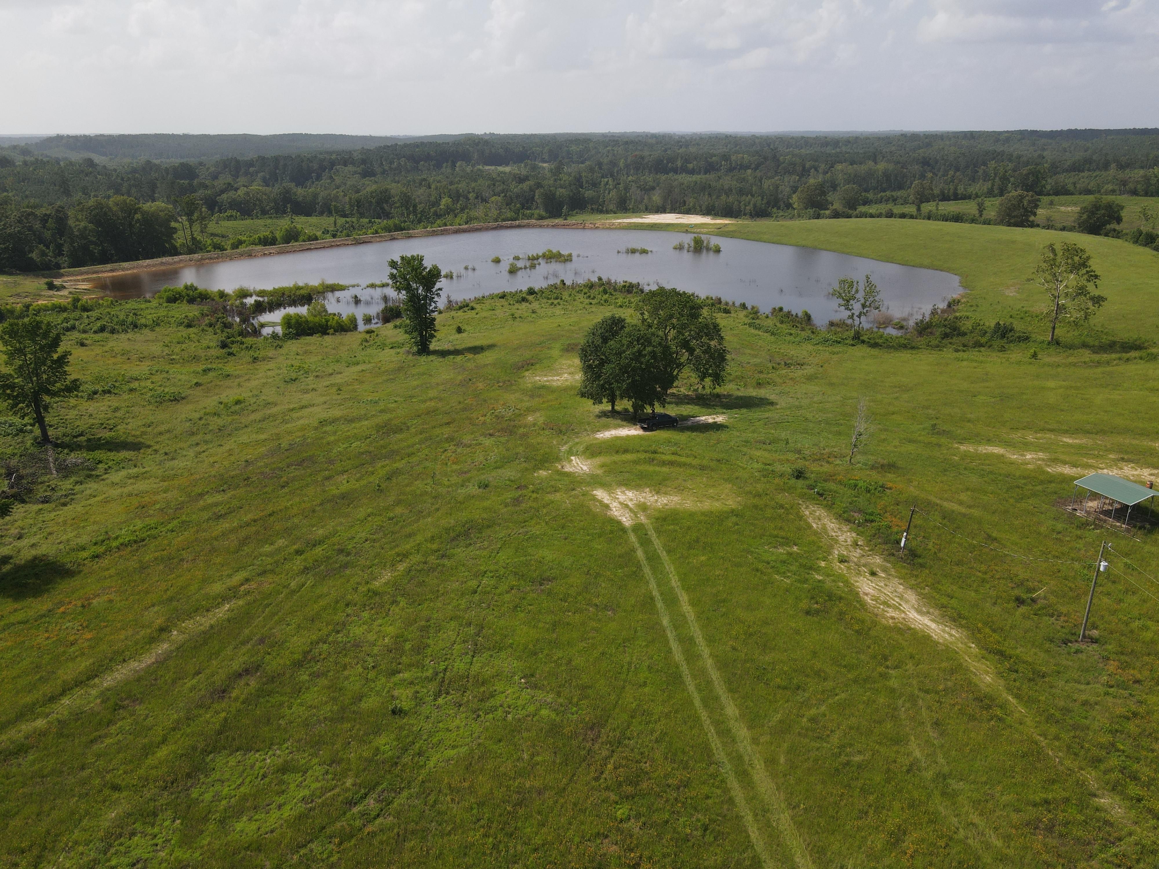 130 acres in Cass County, Texas