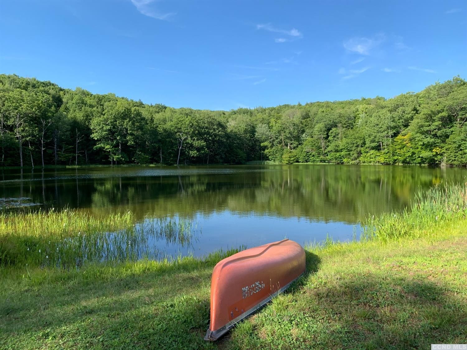 190 acres in Greene County, New York