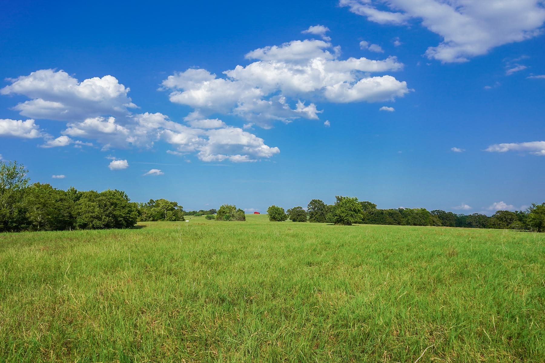 240.67 acres in Grimes County, Texas