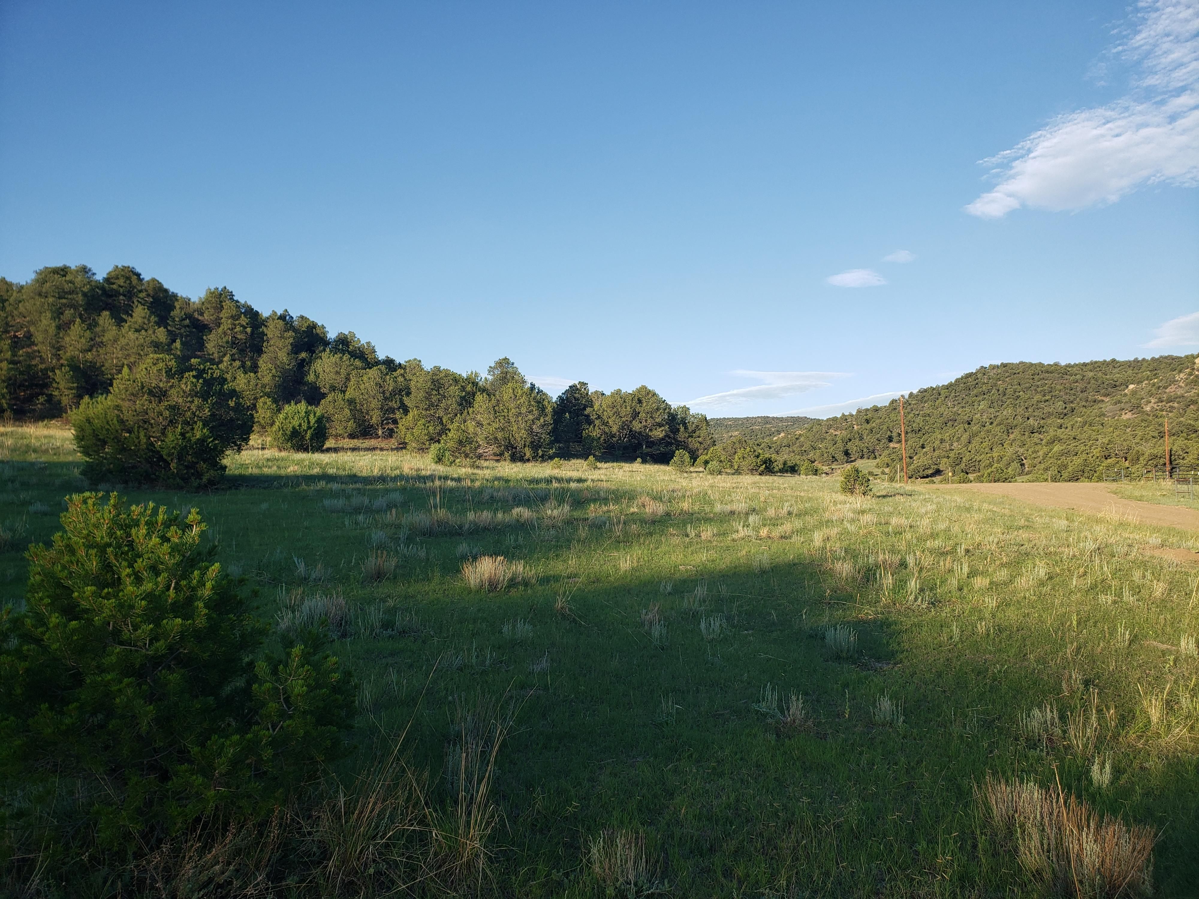 35.1 acres in Las Animas County, Colorado