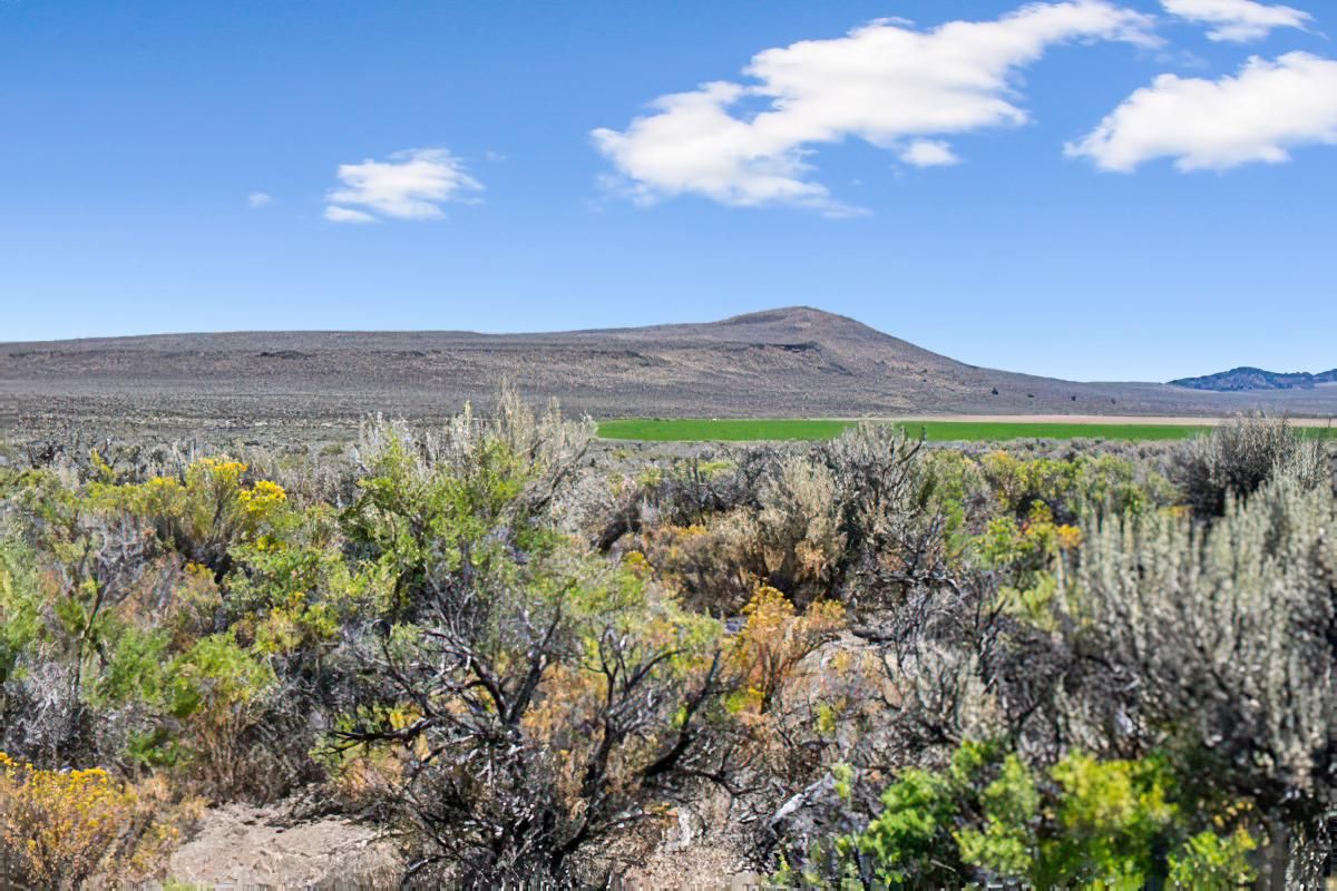 20 acres in Lake County, Oregon