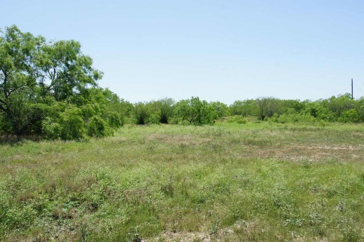 100 acres in Duval County, Texas