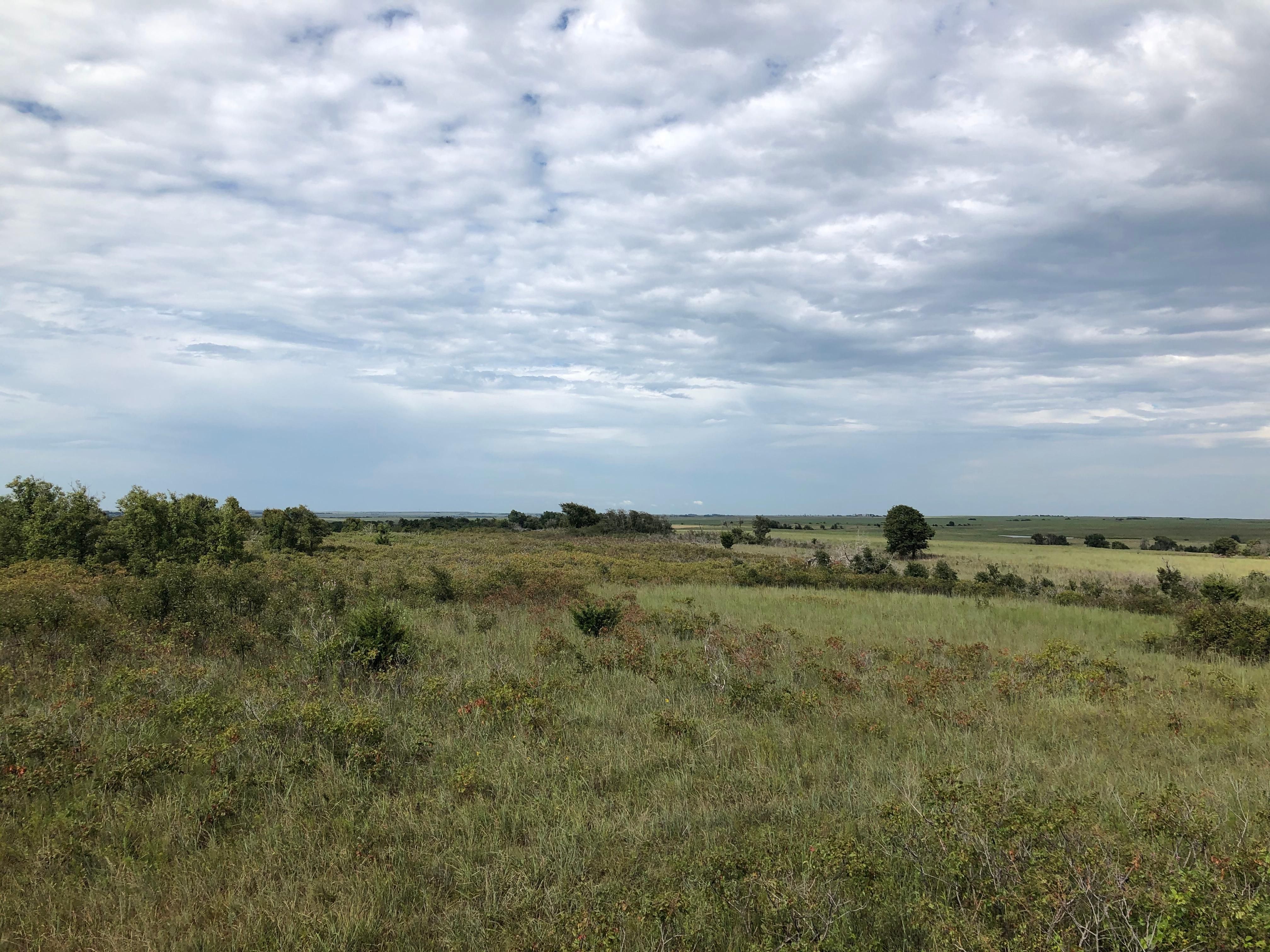 1002 S 106th Ln, Kaw City, OK 74641 MLS 36686