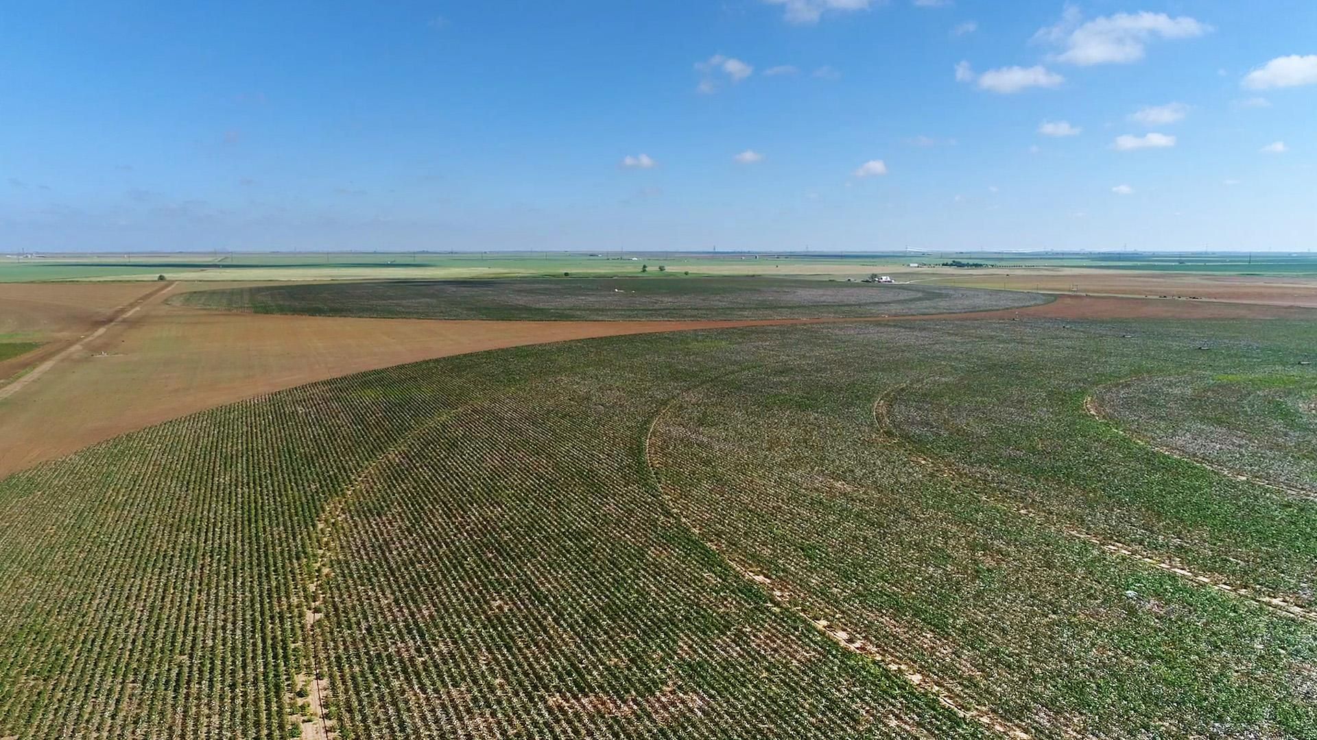 322 acres in Swisher County, Texas