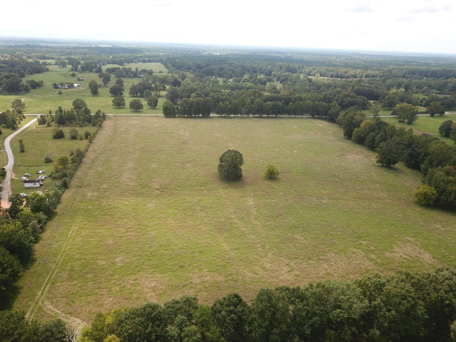 55 acres in Hale County, Alabama