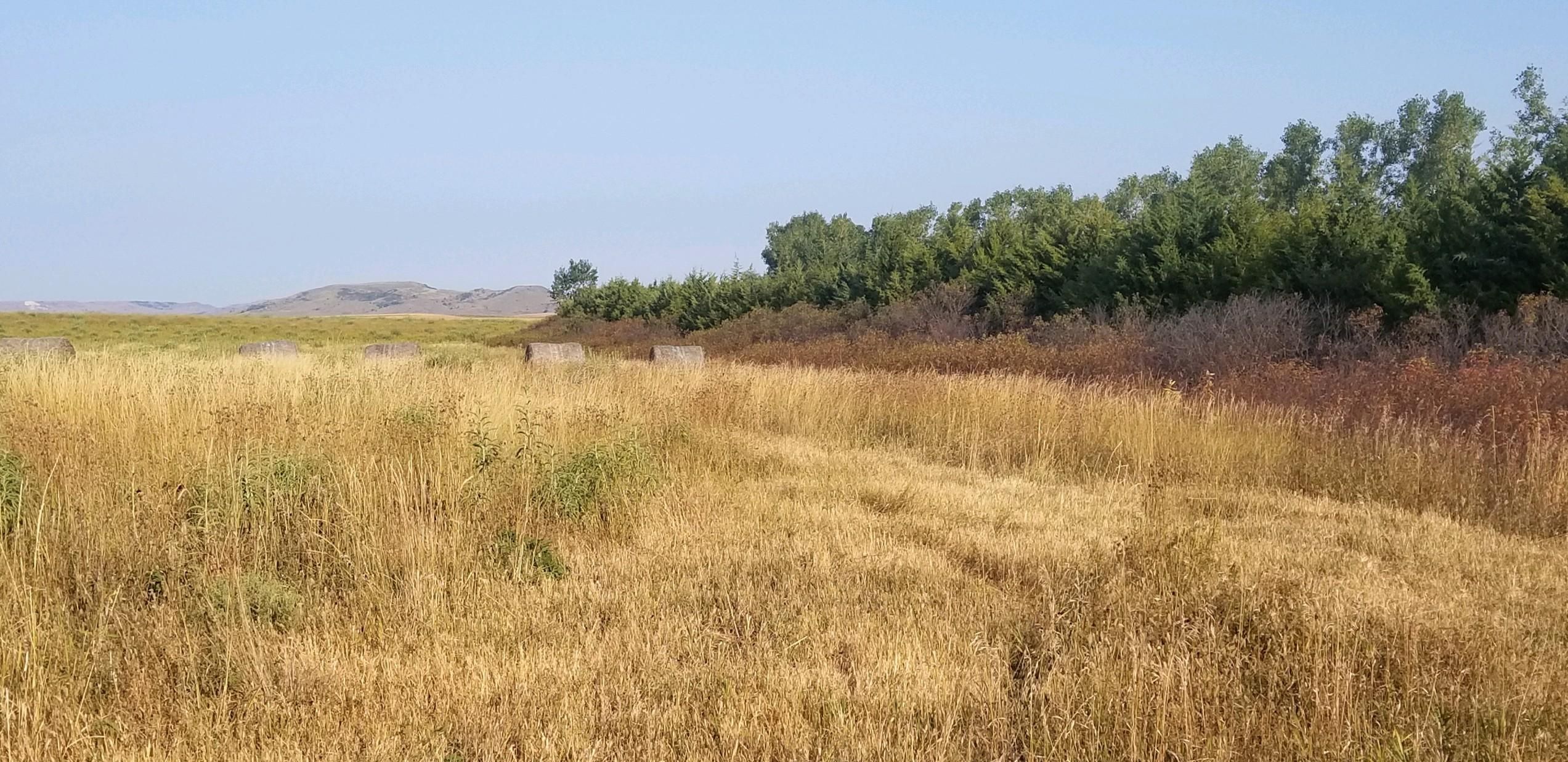 240 acres in Gregory County, South Dakota